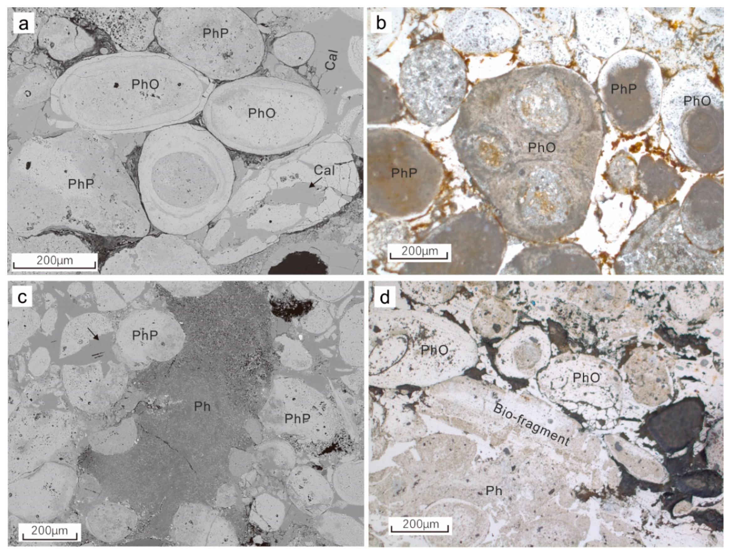 Minerals 11 00350 g003
