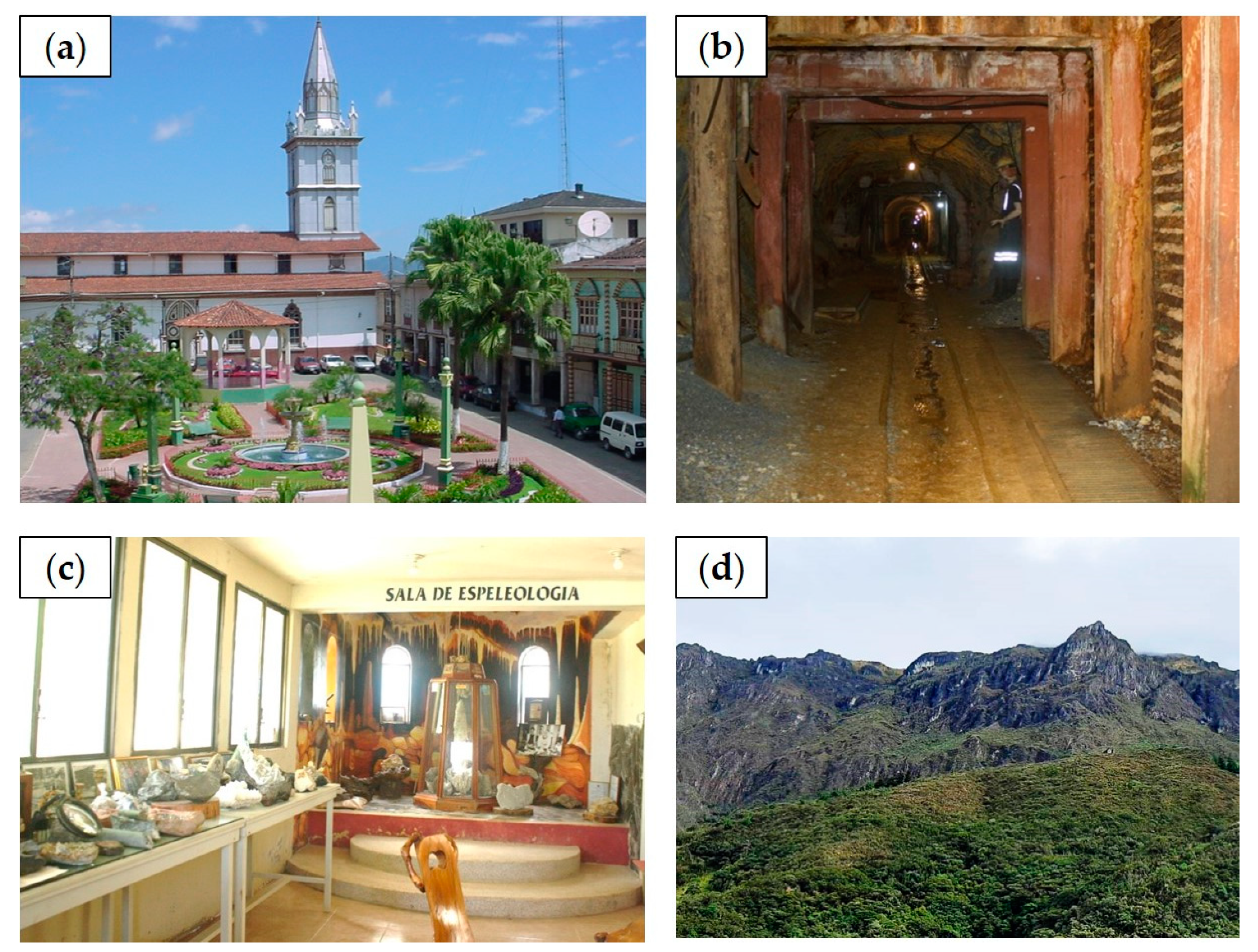 Minerals 11 00351 g004