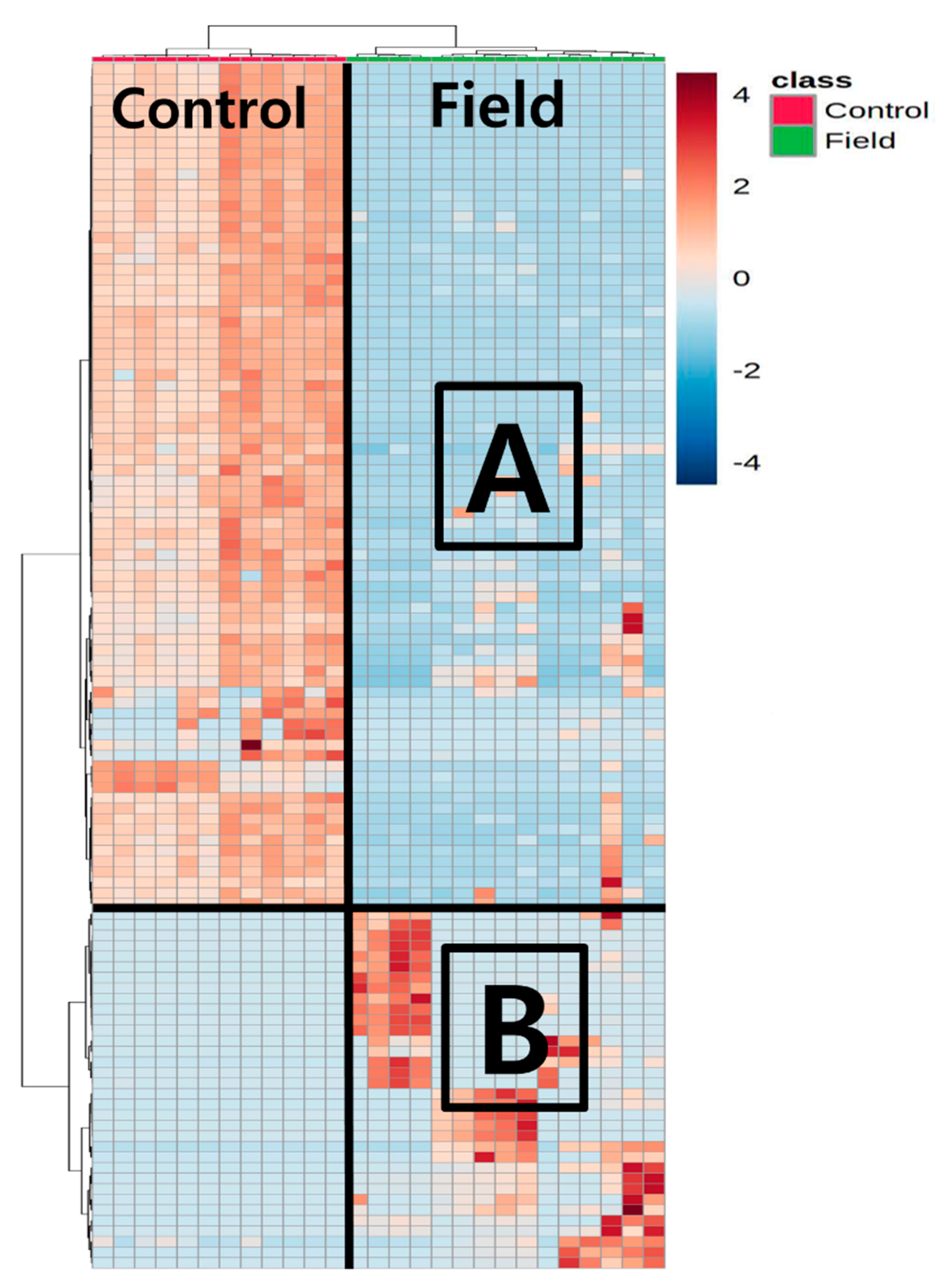 Minerals 11 00372 g004 Minerals 11 00372 g004