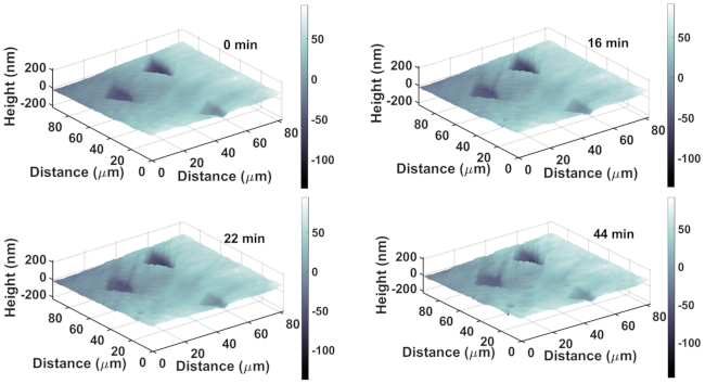 Minerals 11 00376 g008