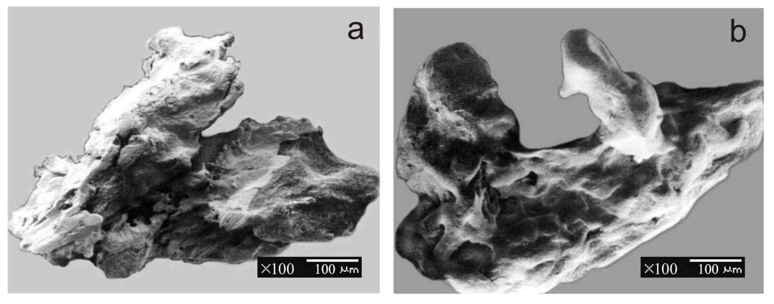 Minerals 11 00381 g006 550