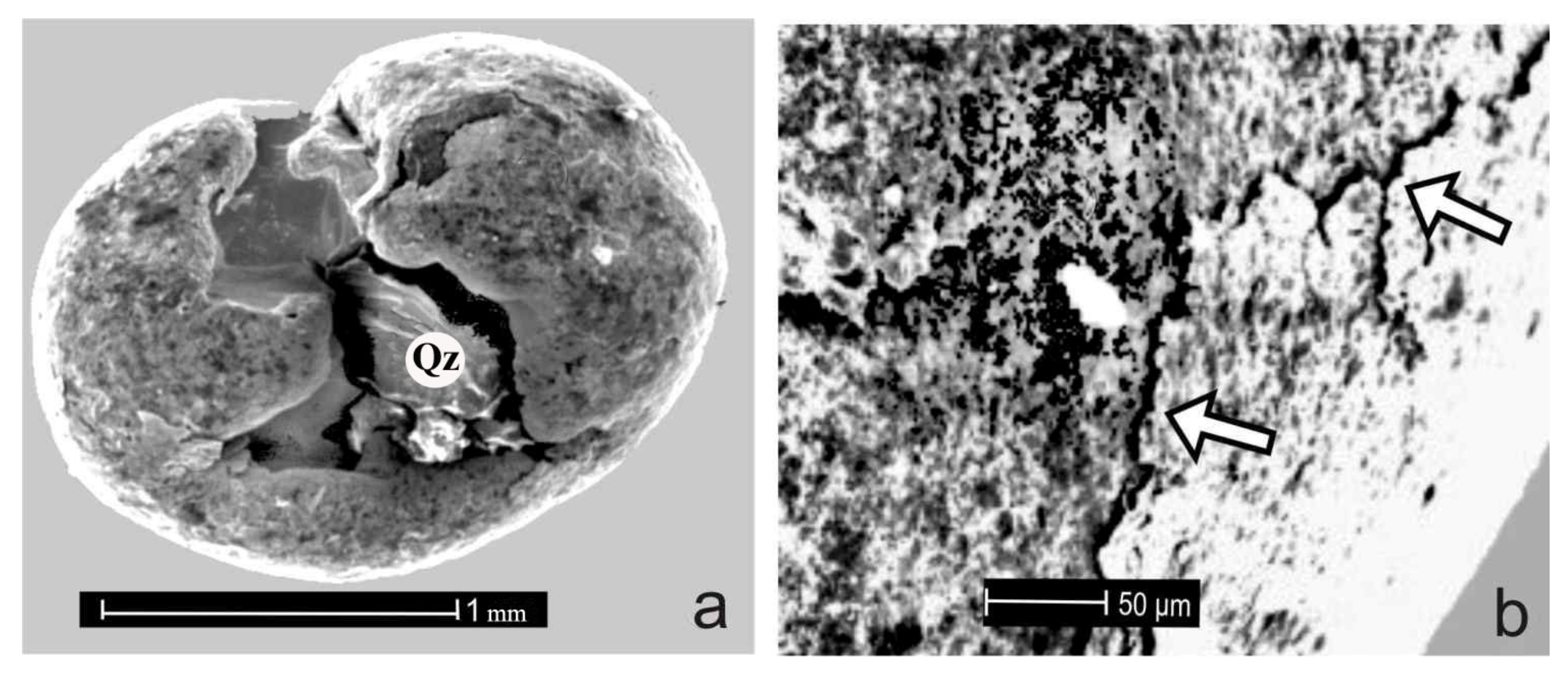 Minerals 11 00381 g007 550