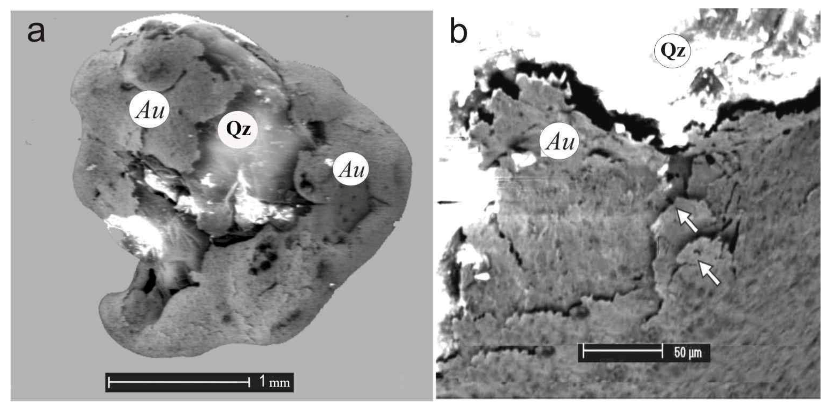 Minerals 11 00381 g008 550