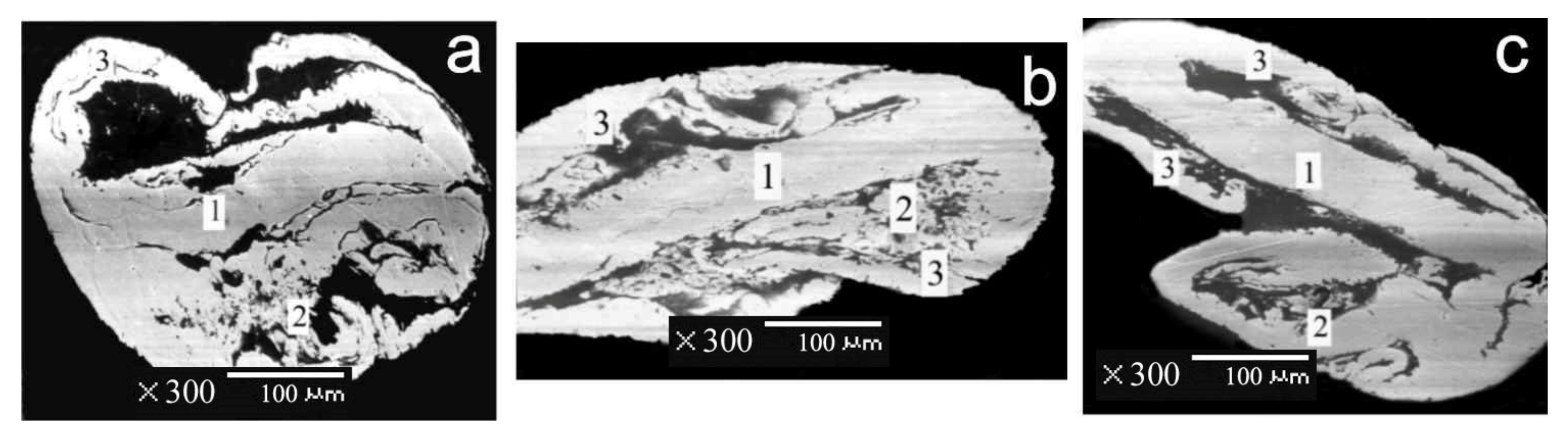 Minerals 11 00381 g009 550