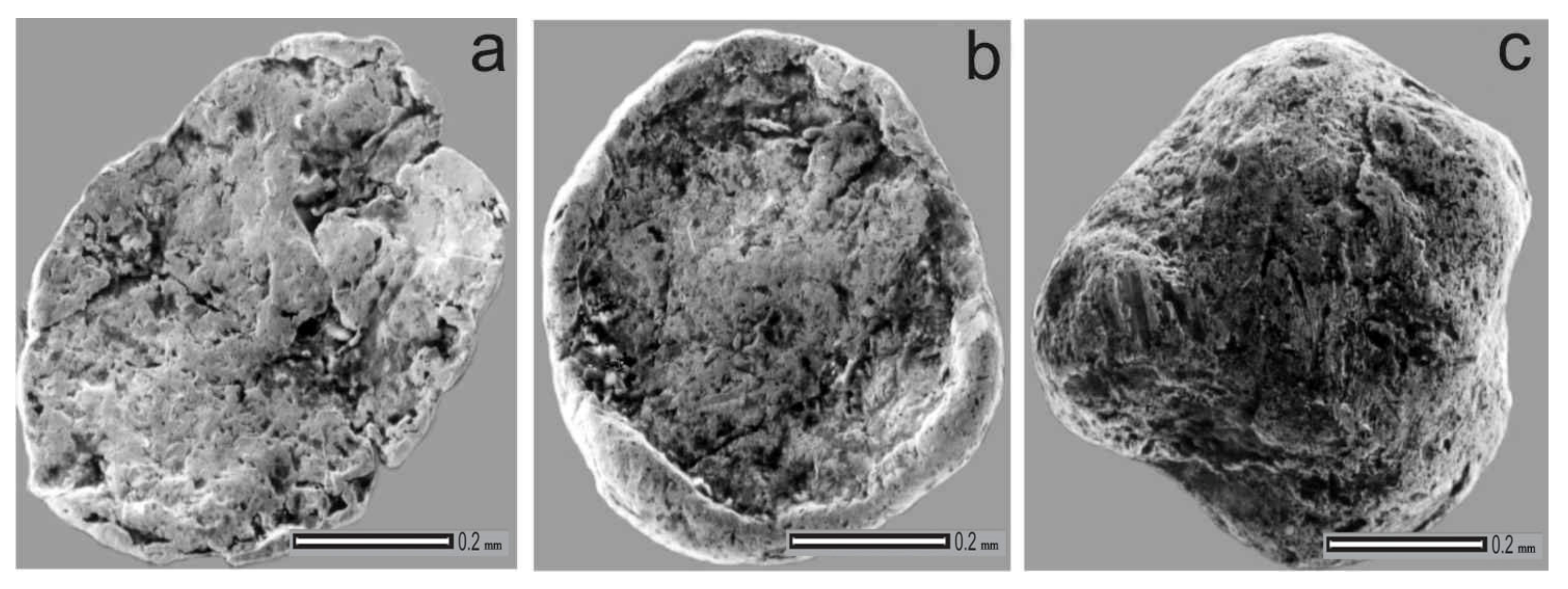 Minerals 11 00381 g012 550