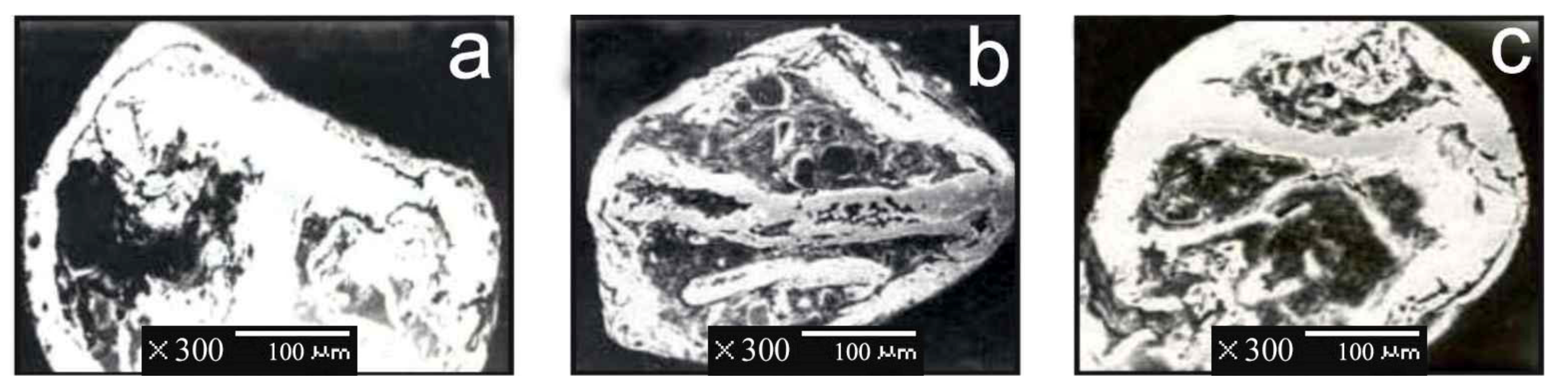 Minerals 11 00381 g013 550