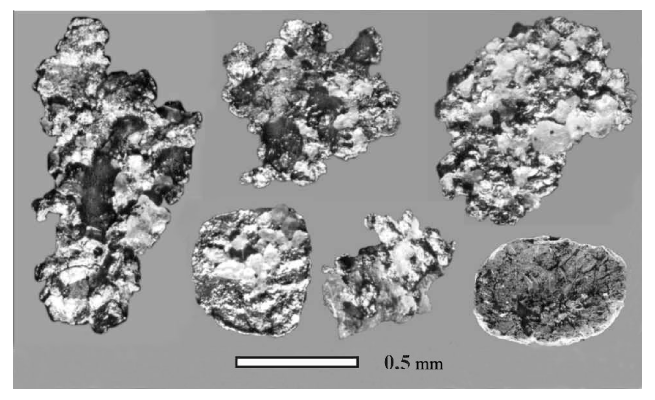 Minerals 11 00381 g015 550