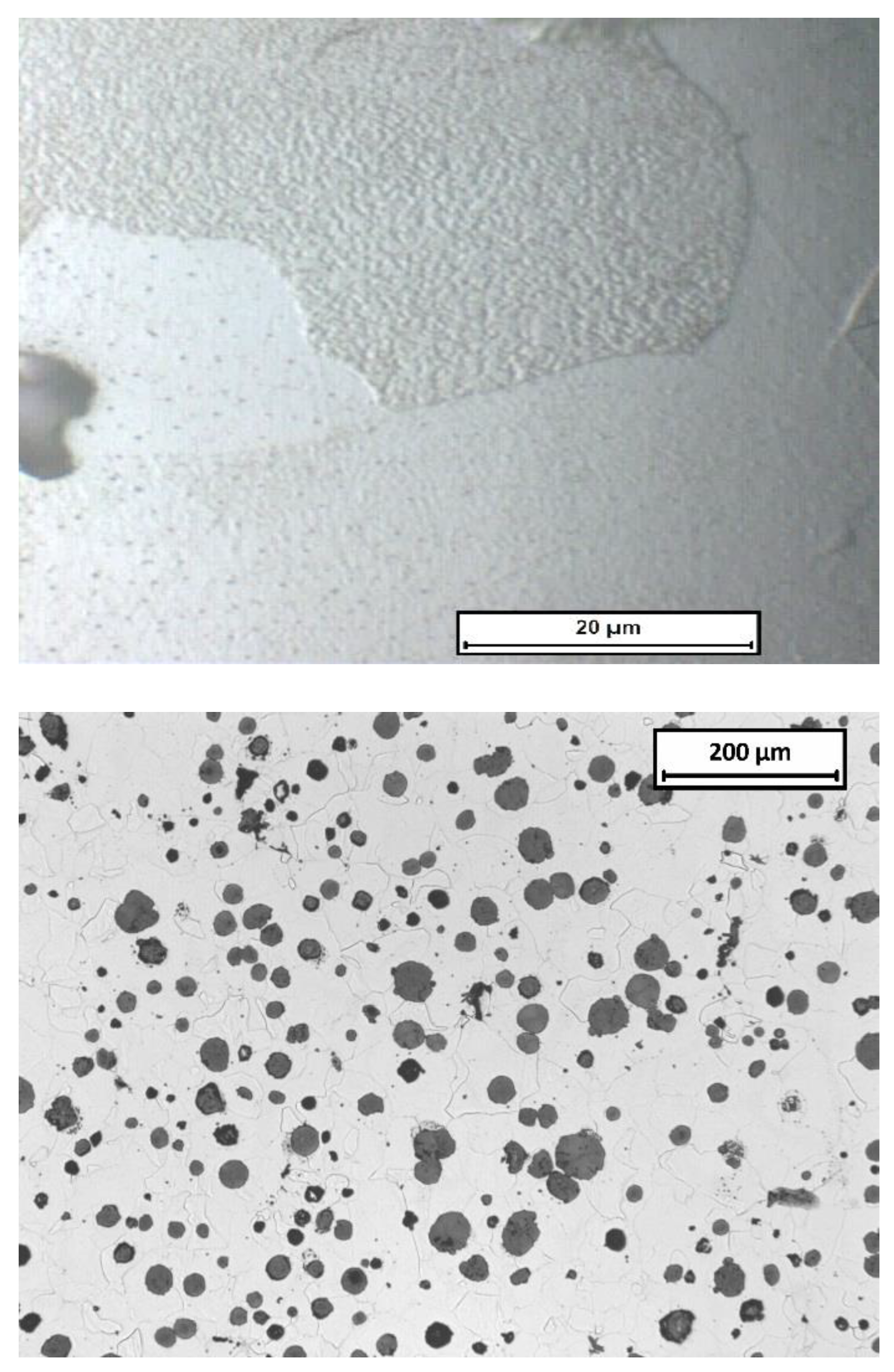 Minerals 11 00391 g005