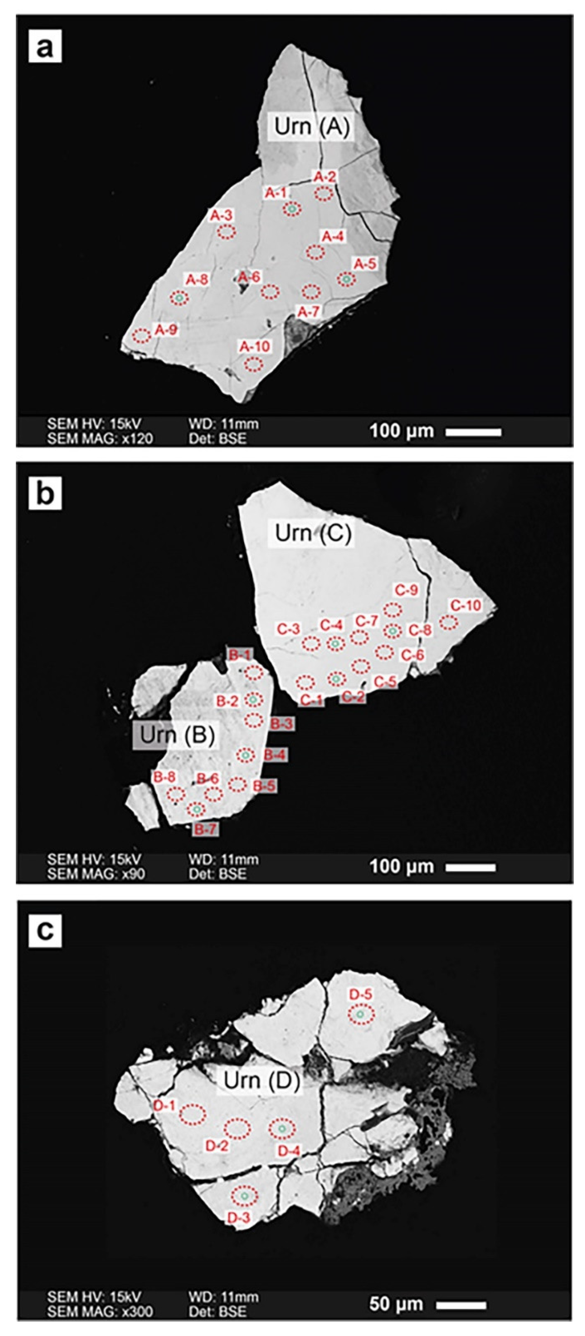 Minerals 11 00402 g005