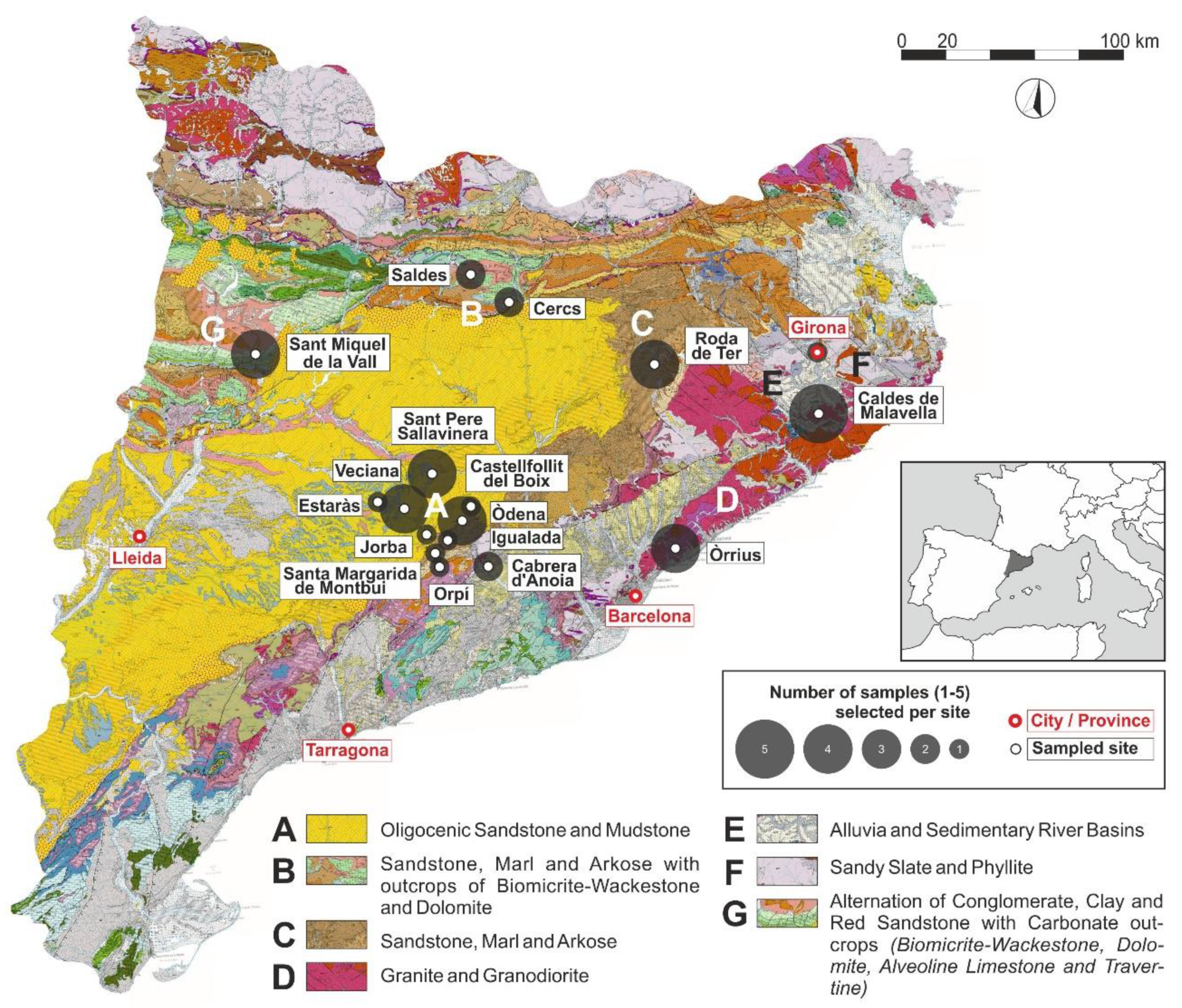 Minerals 11 00428 g002