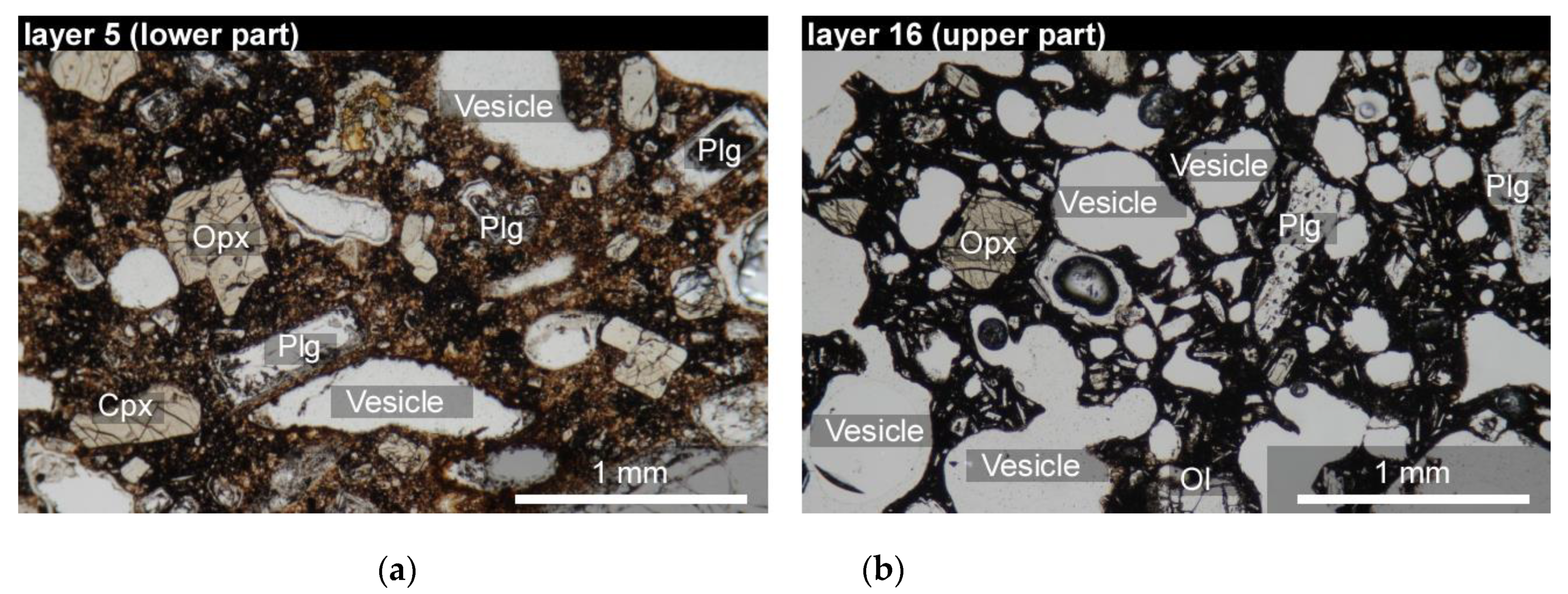 Minerals 11 00430 g003