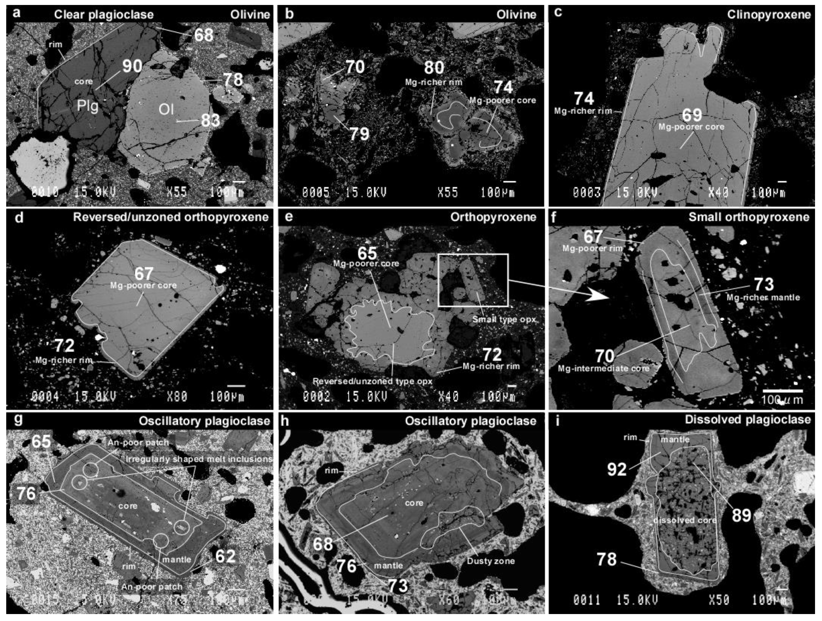 Minerals 11 00430 g006