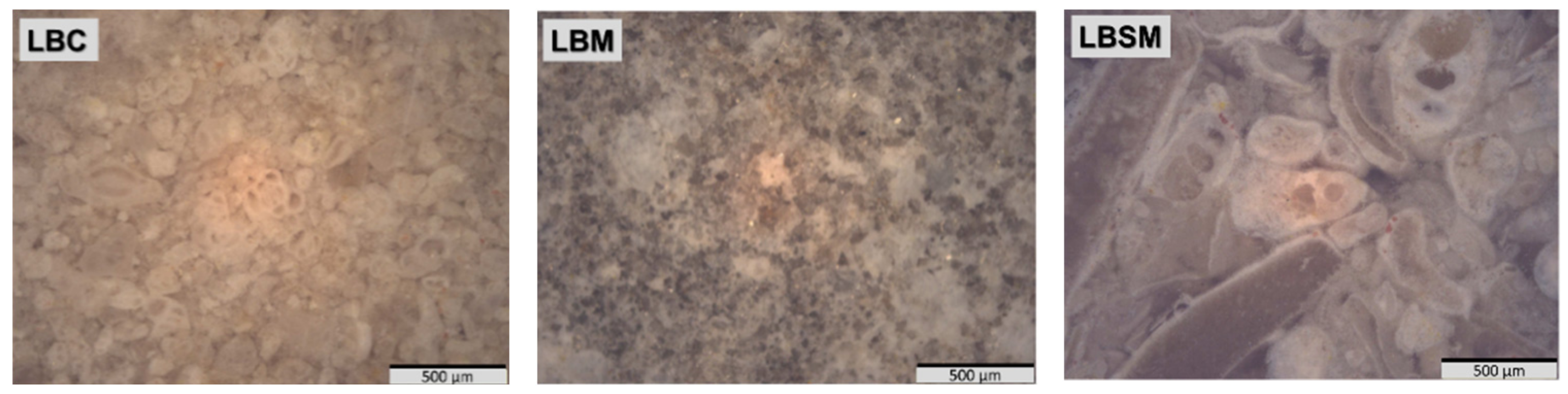 Minerals 11 00440 g006b