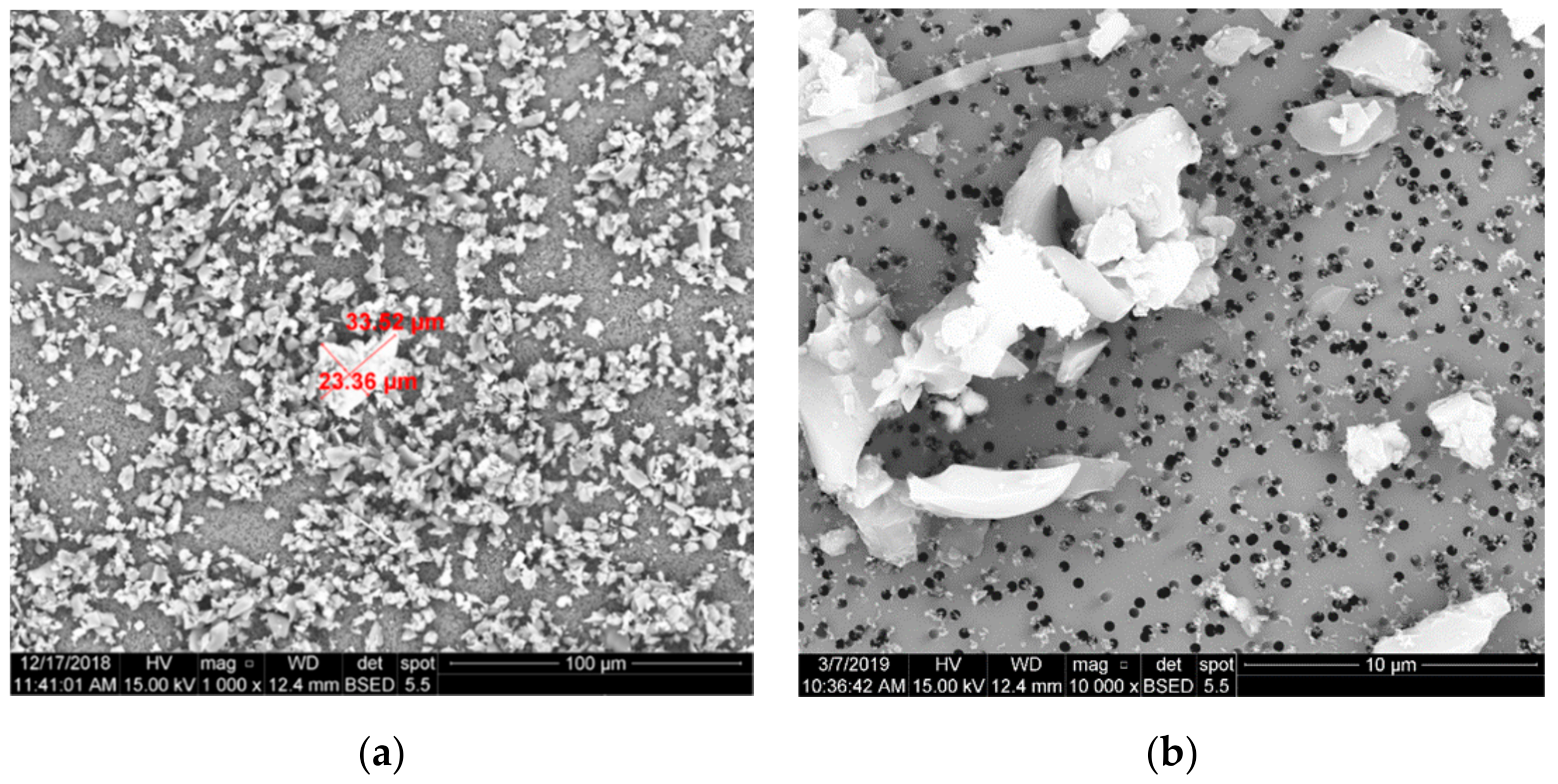 Minerals 11 00447 g005