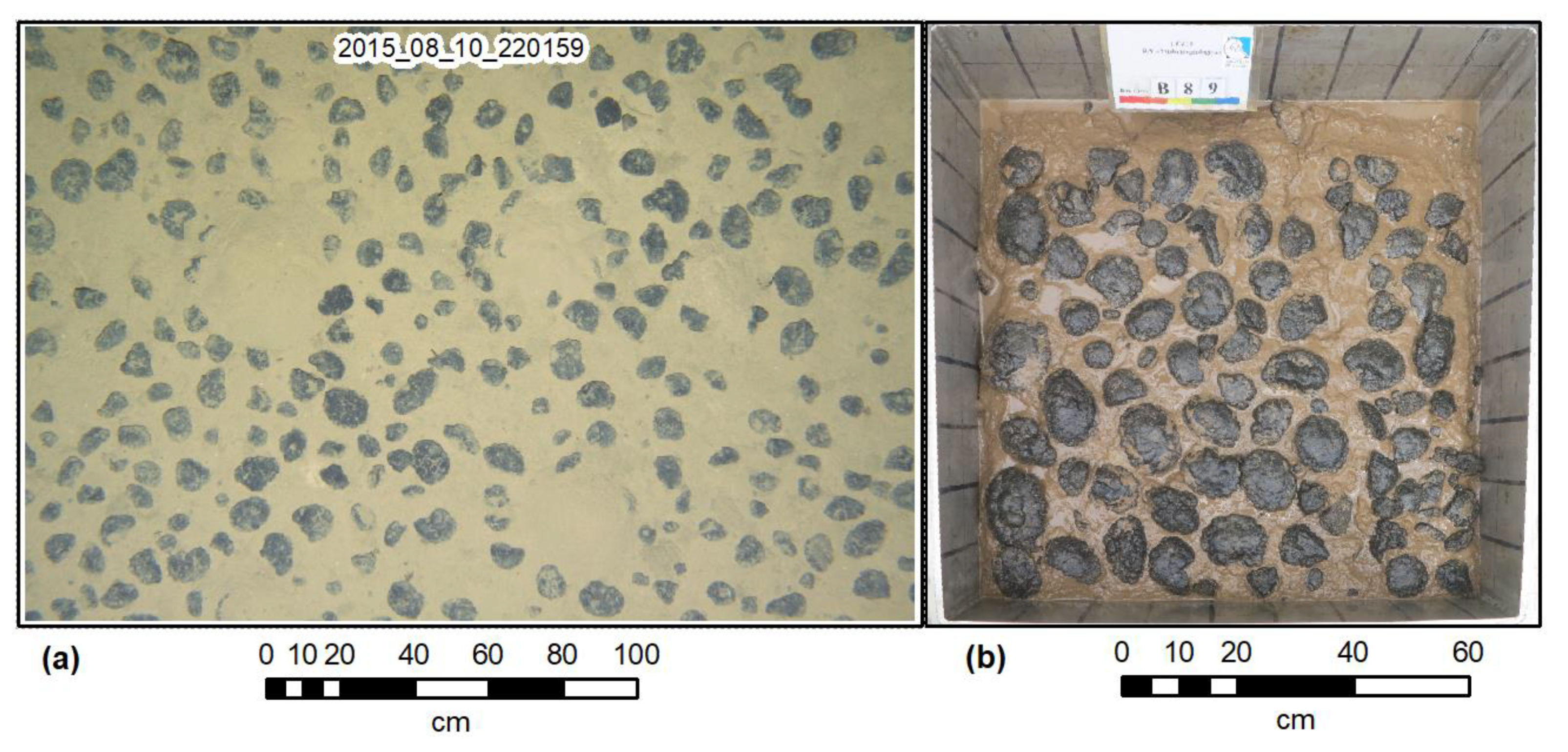 Minerals 11 00449 g001