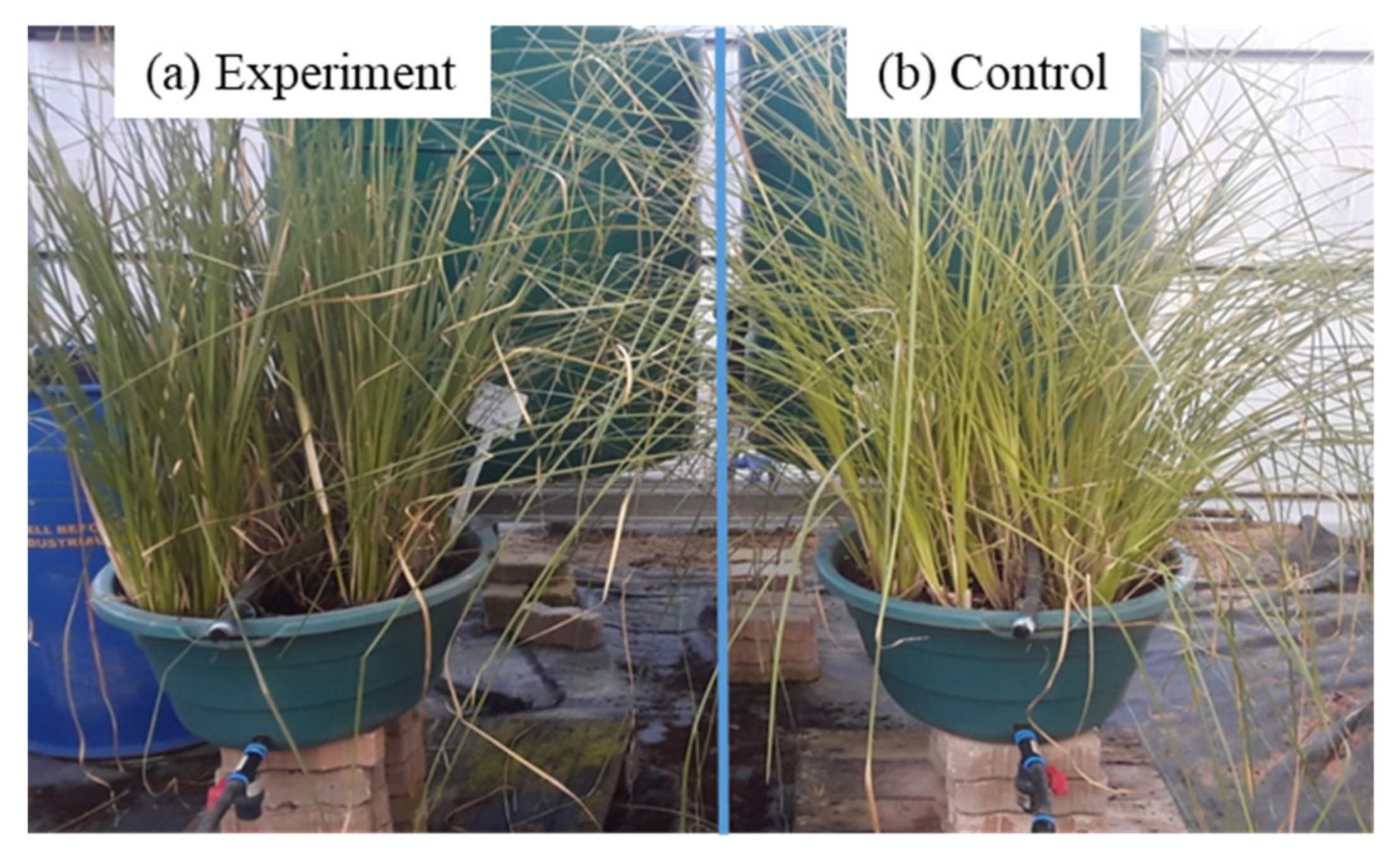 Minerals 11 00477 g001