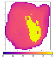 Minerals 11 00490 i002