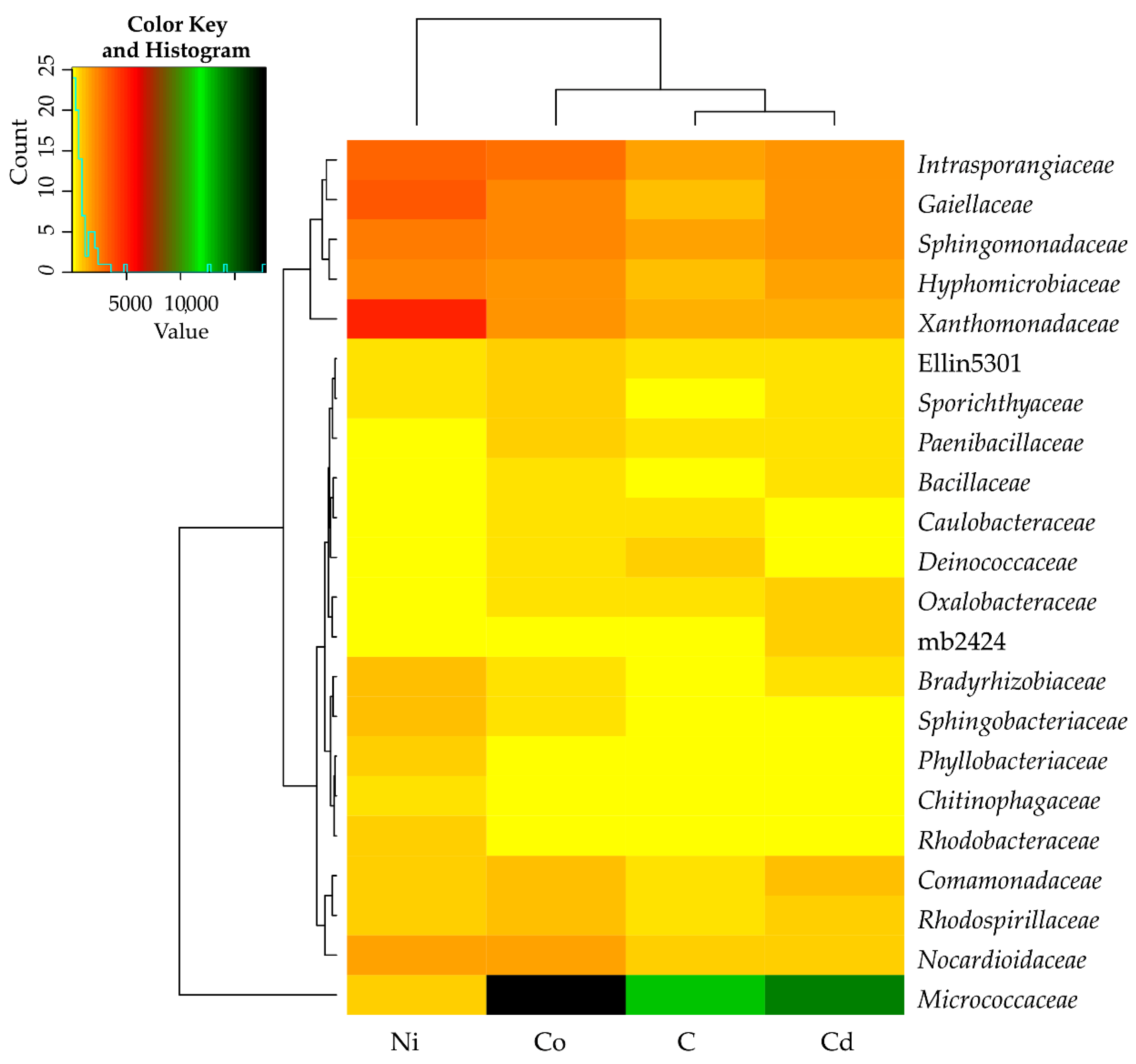 Minerals 11 00498 g005 Minerals 11 00498 g005