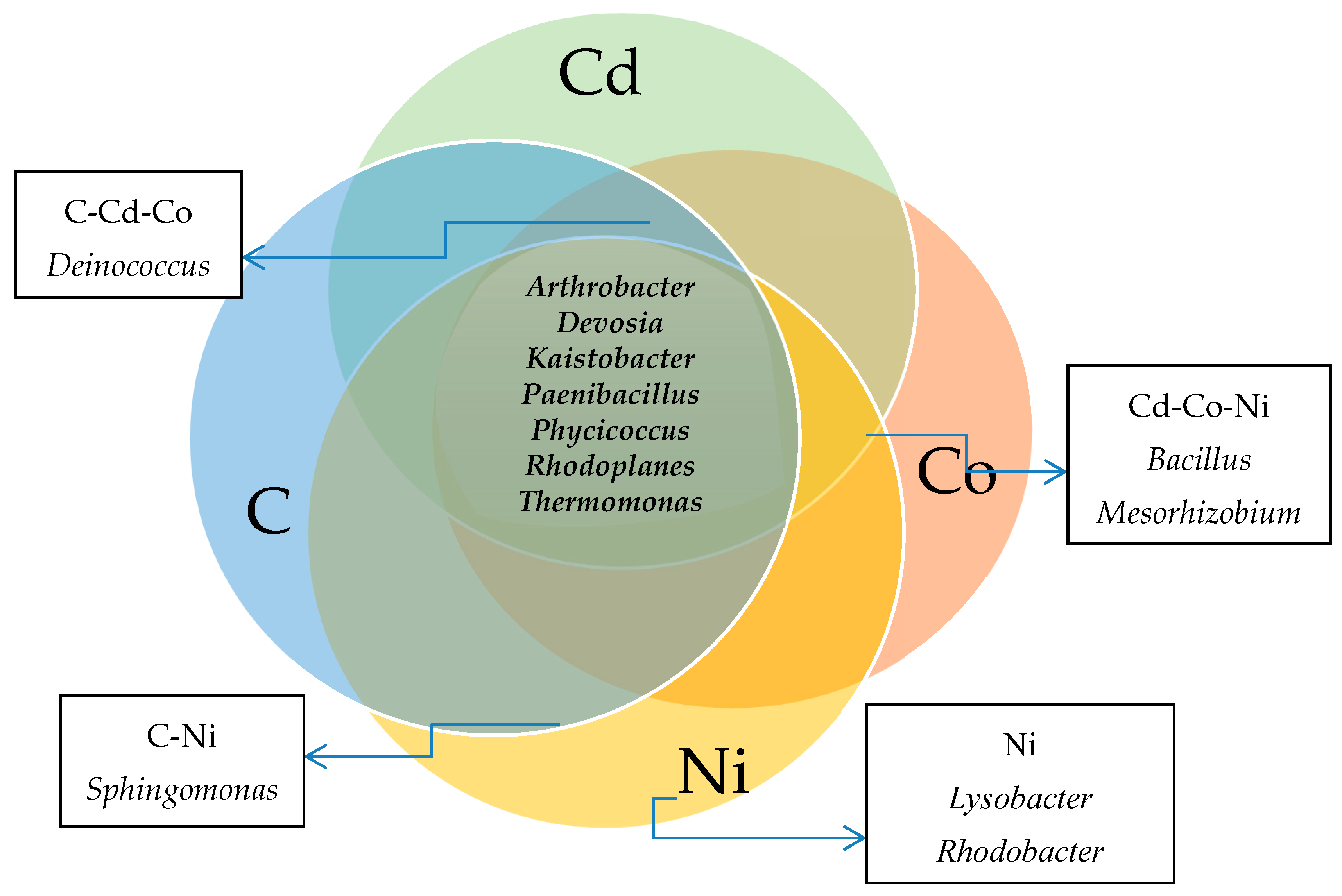 Minerals 11 00498 g006 Minerals 11 00498 g006