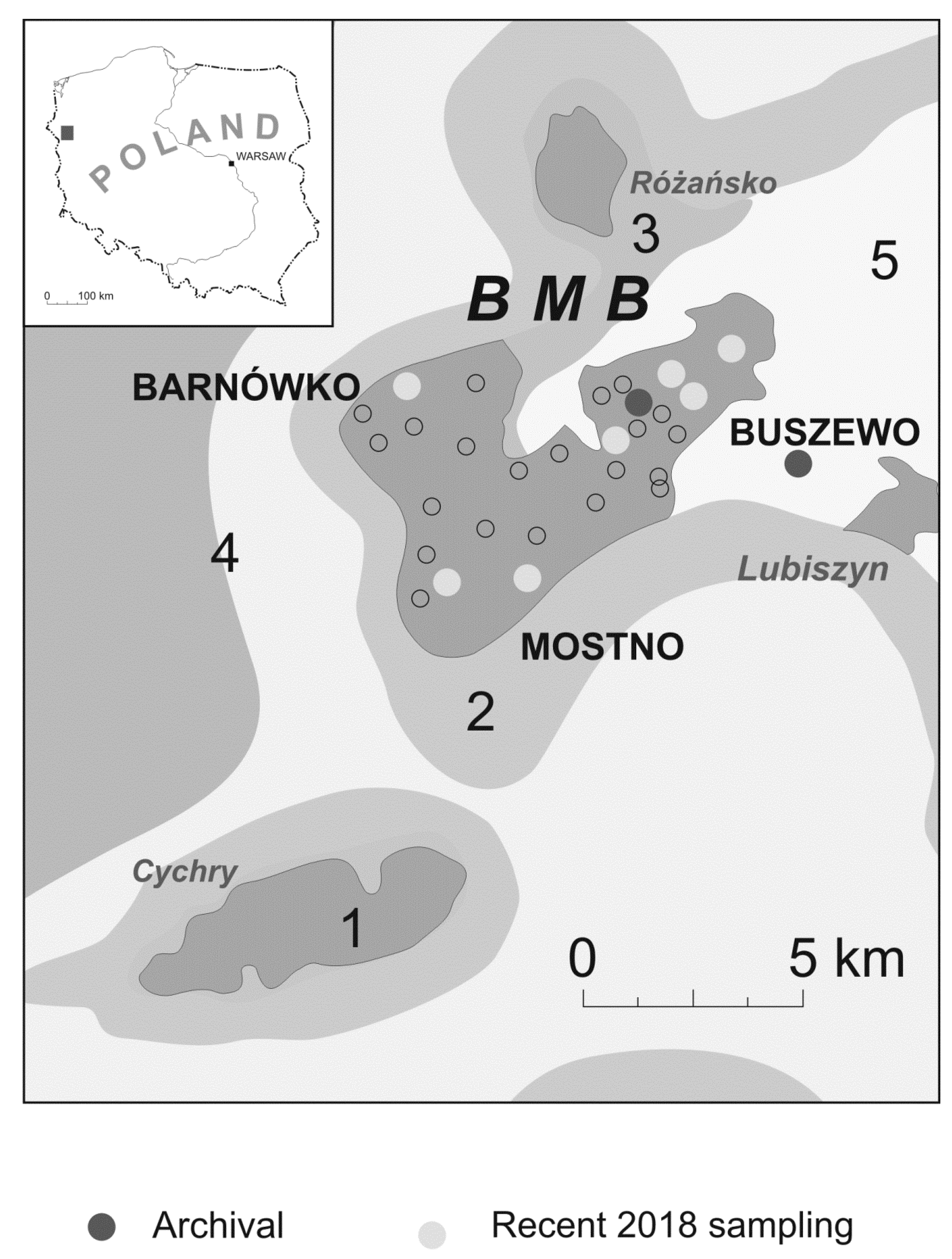 Minerals 11 00500 g001