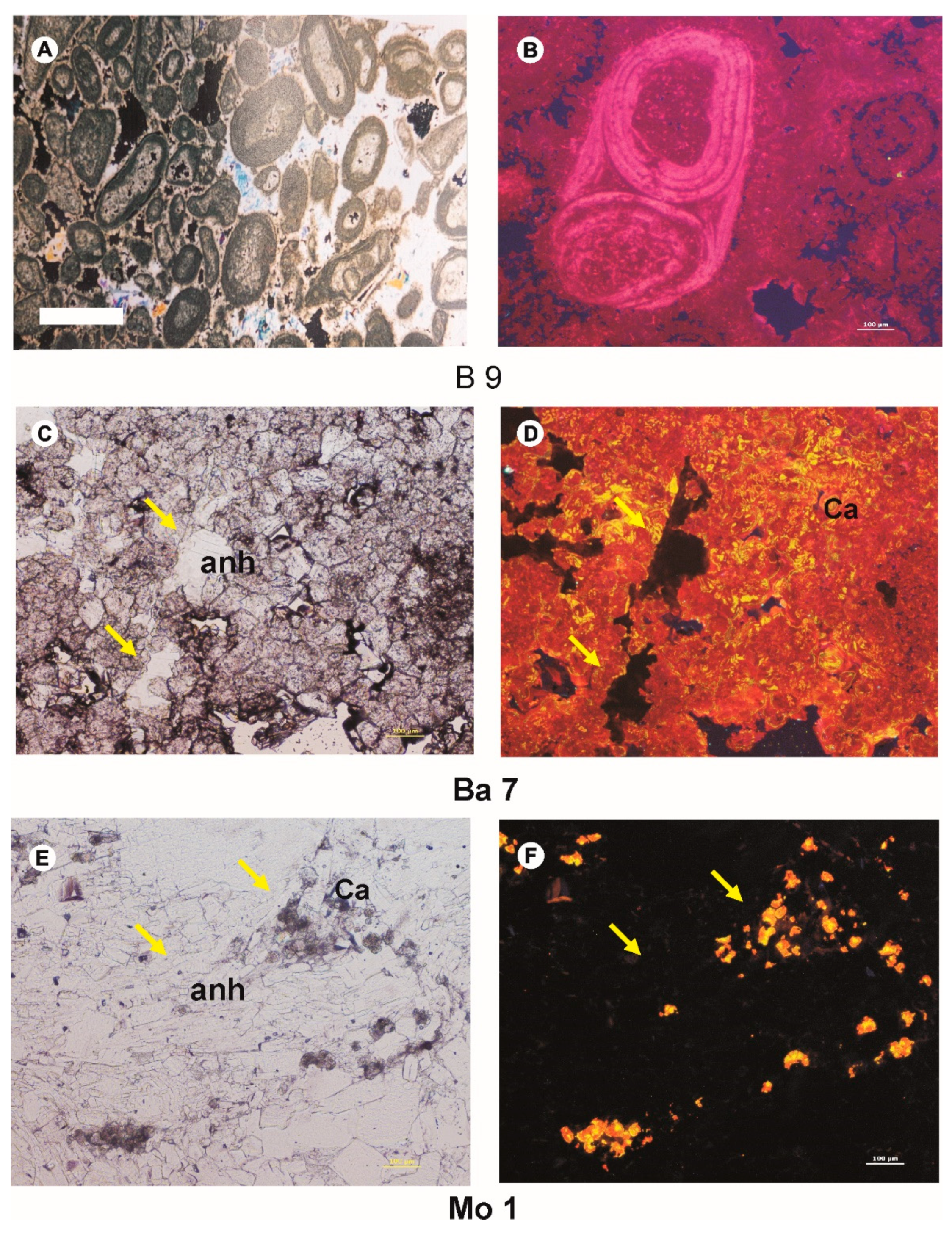 Minerals 11 00500 g002
