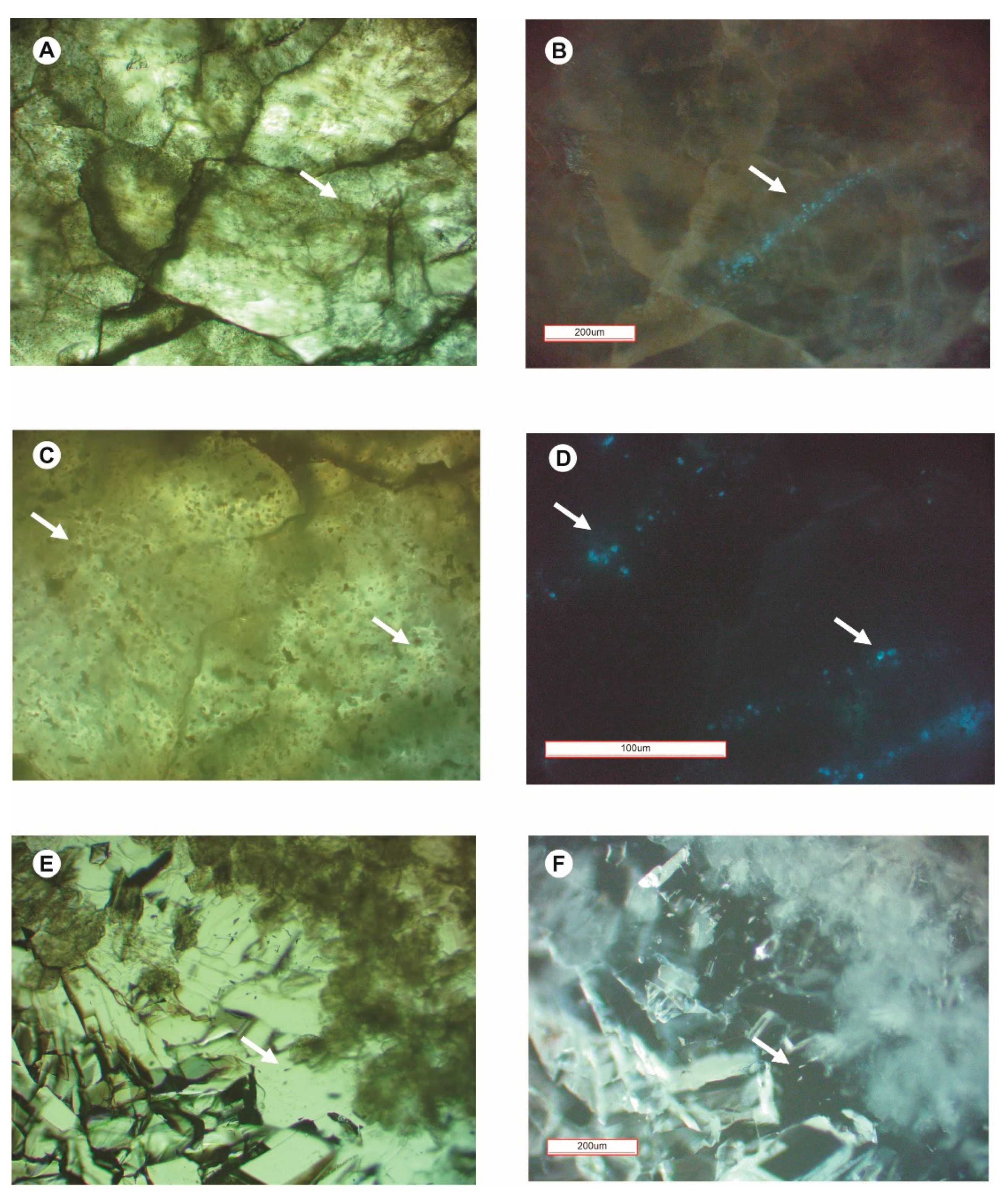 Minerals 11 00500 g005