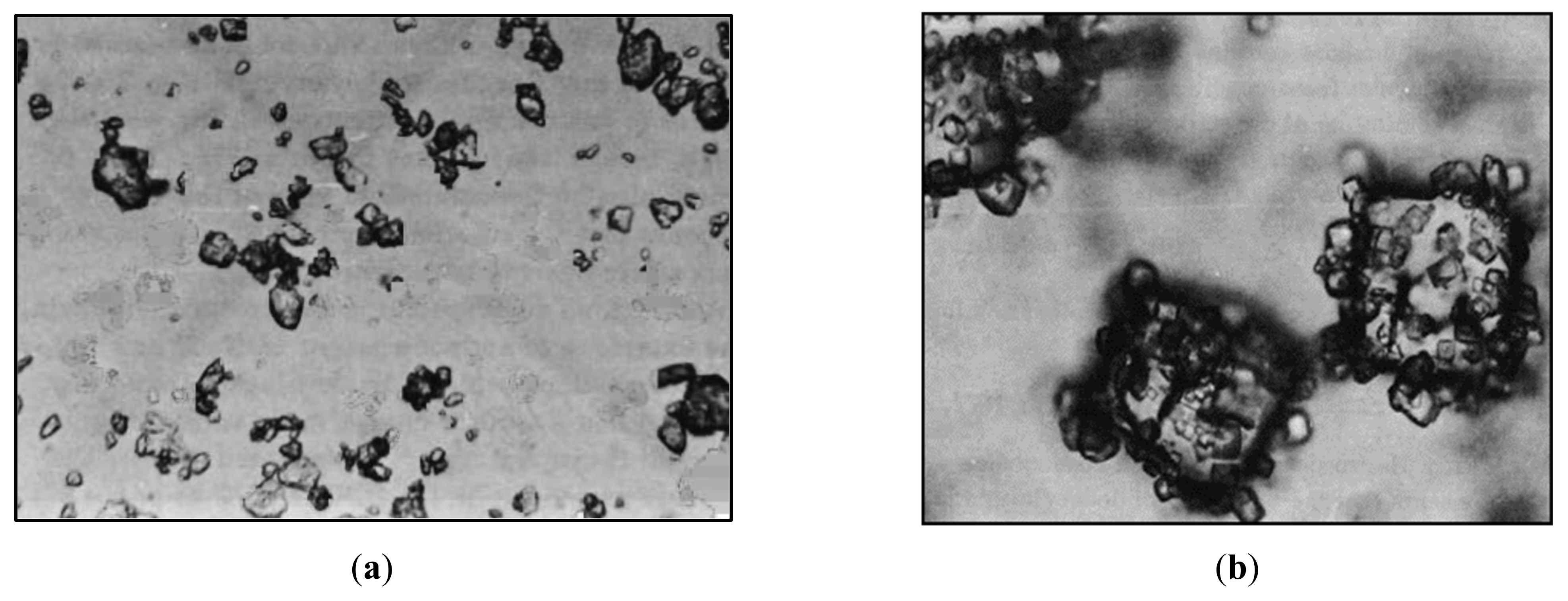 Minerals 11 00521 g001