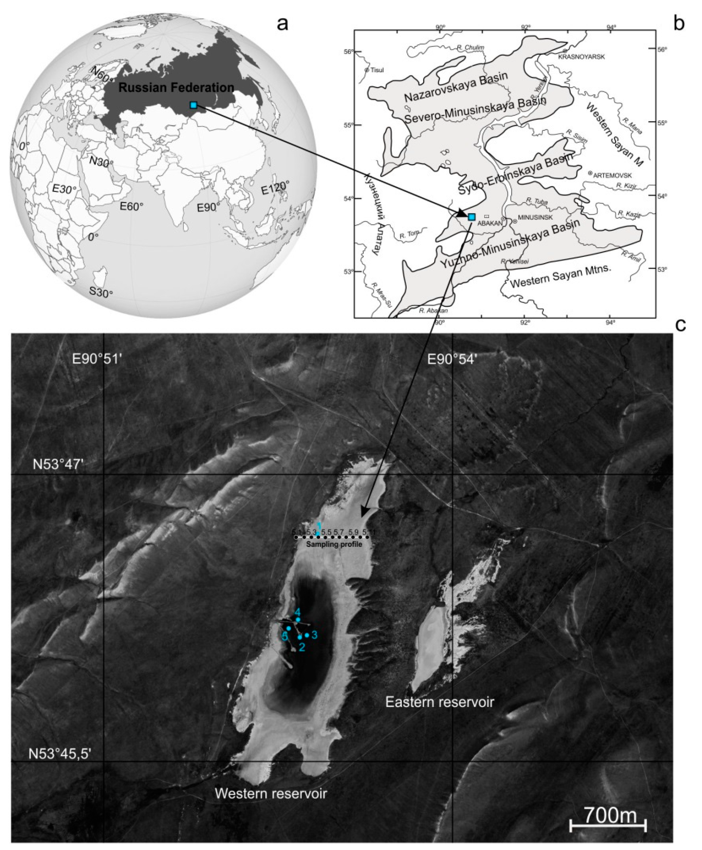 Minerals 11 00522 g001 Minerals 11 00522 g001