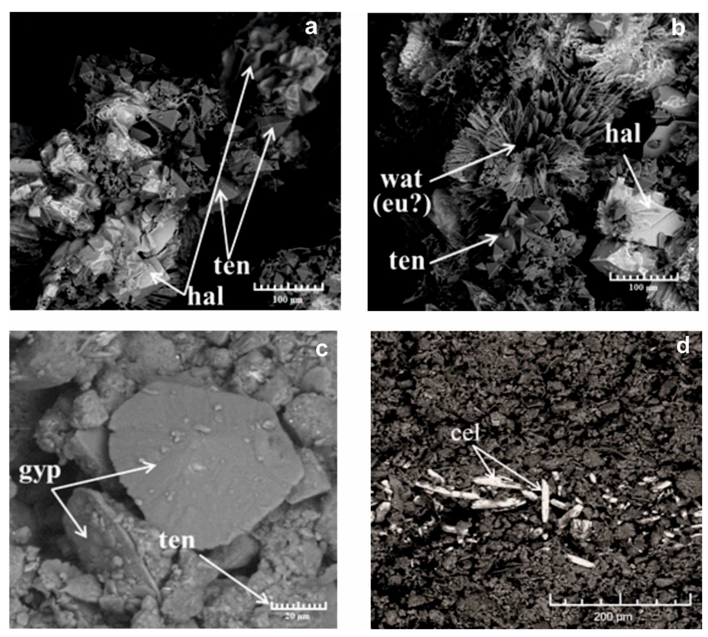 Minerals 11 00522 g004 Minerals 11 00522 g004