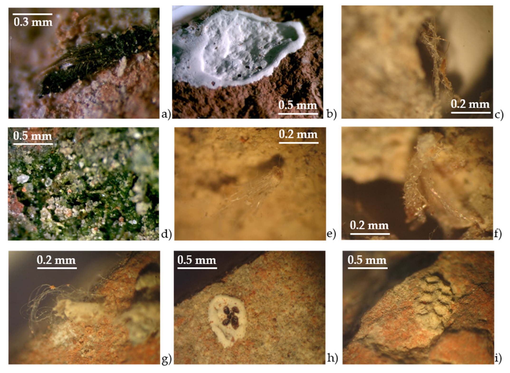 Minerals 11 00530 g004 Minerals 11 00530 g004