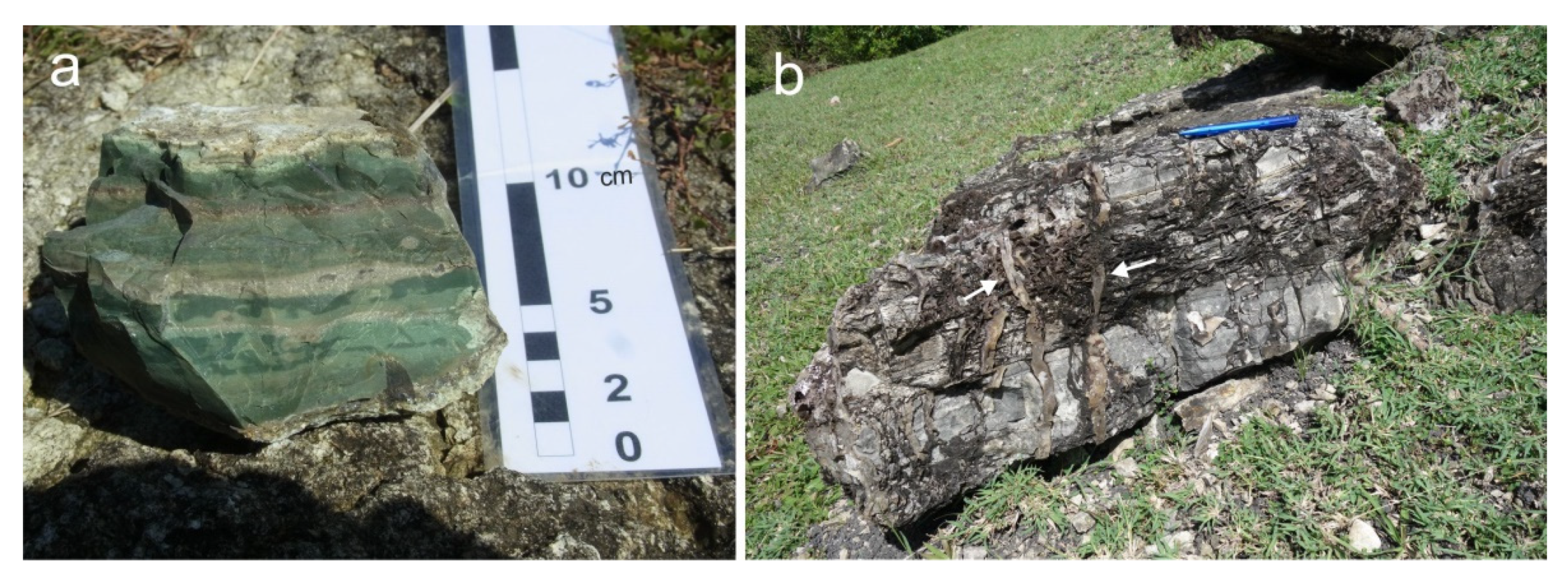Minerals 11 00531 g002 550