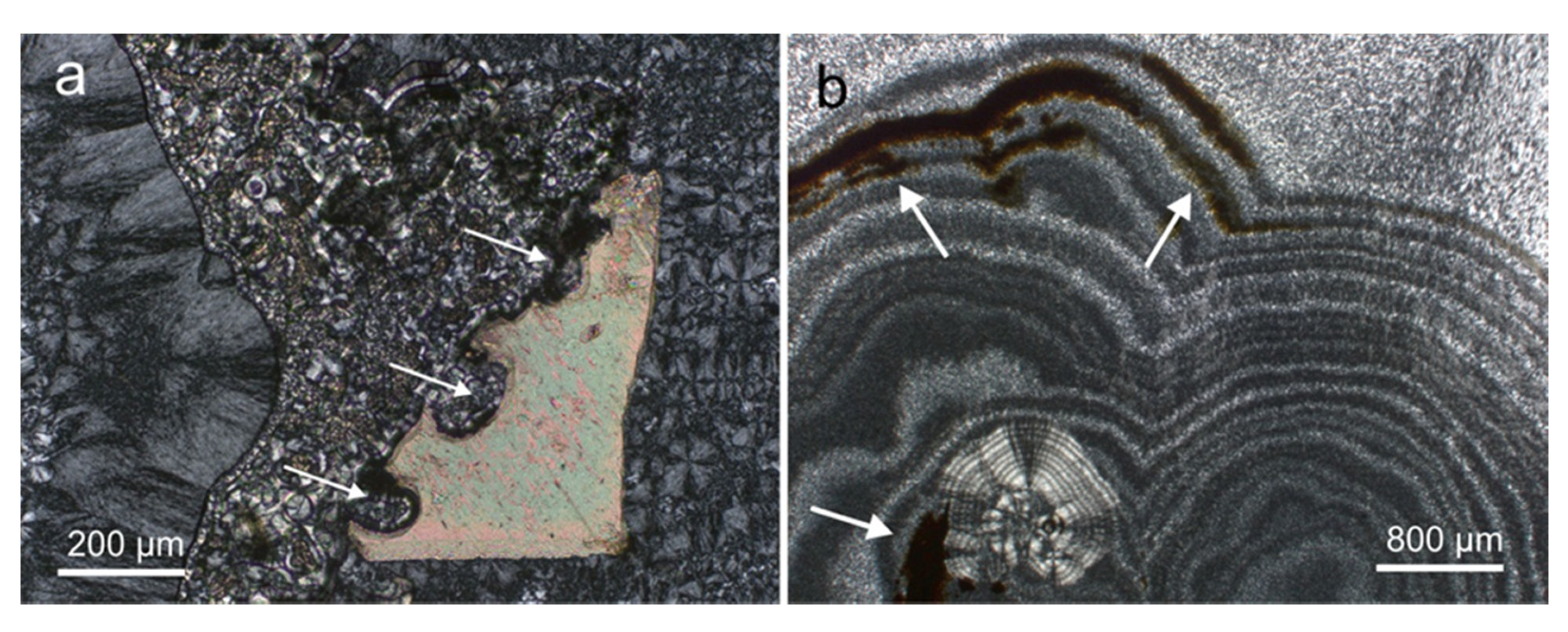 Minerals 11 00531 g008 550