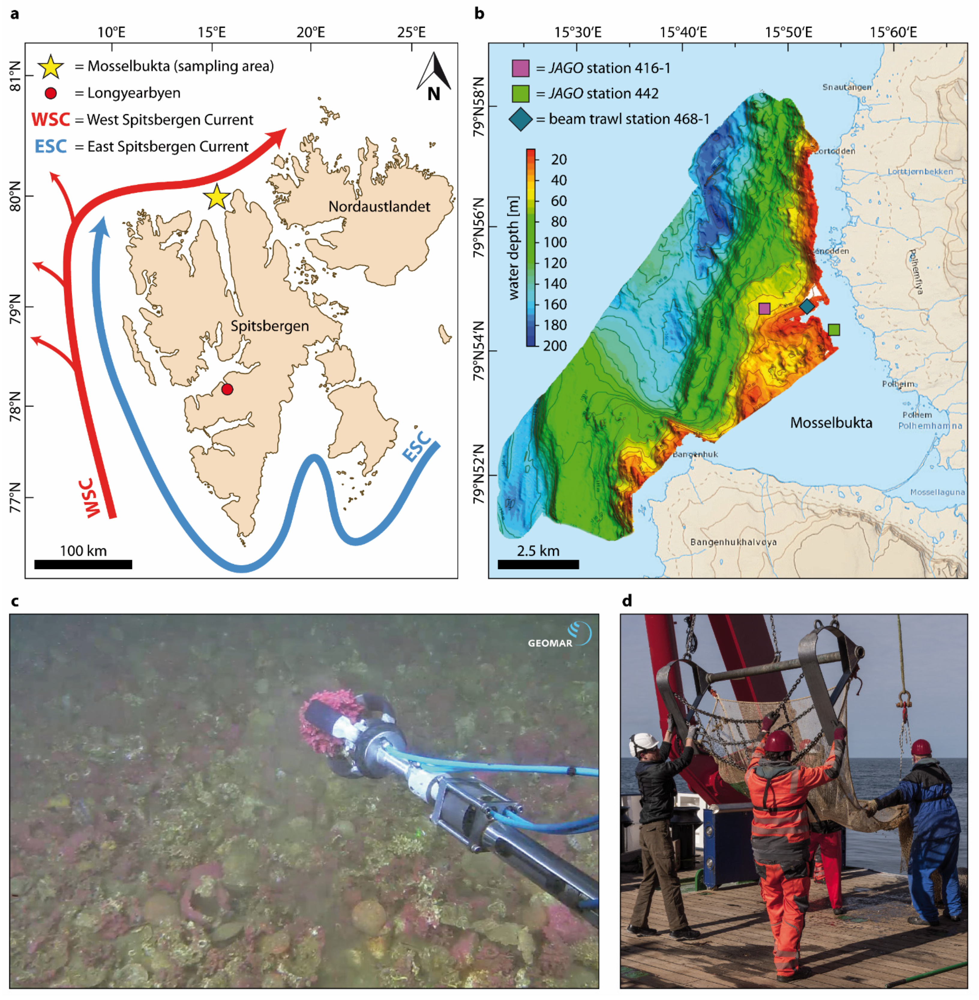 Minerals 11 00538 g001