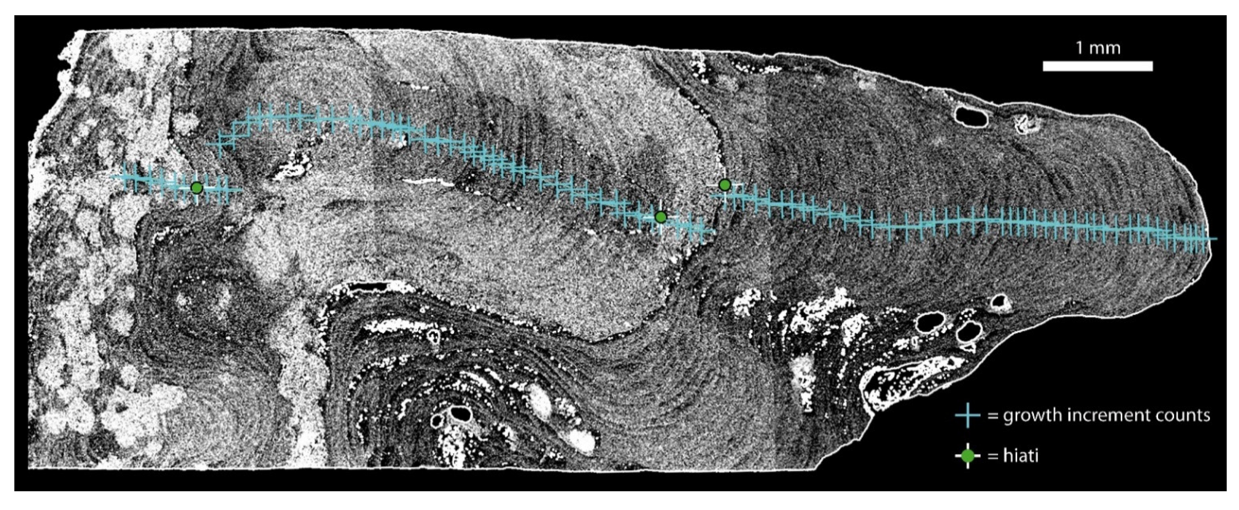 Minerals 11 00538 g003