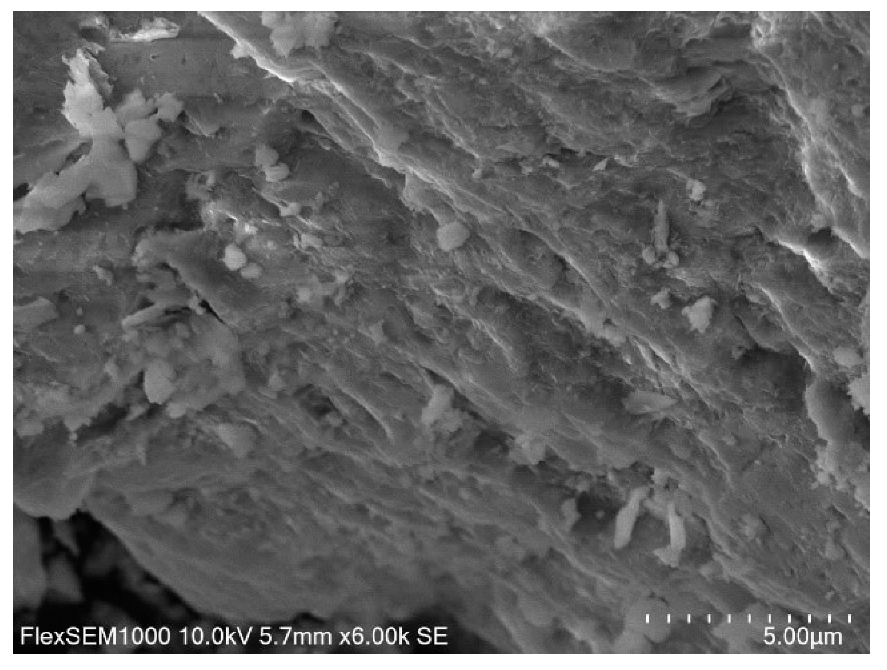 Minerals 11 00544 g003