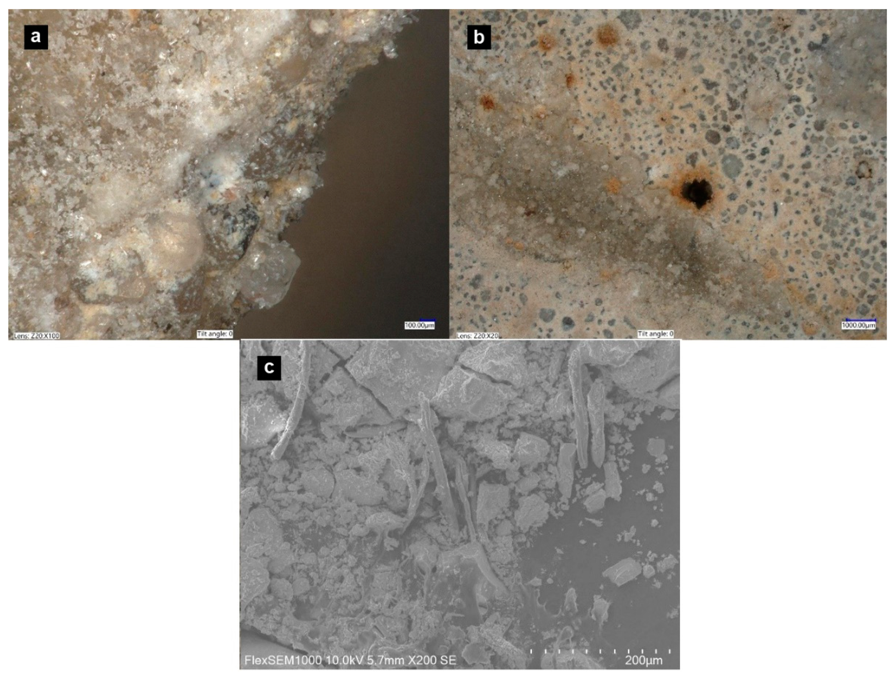 Minerals 11 00544 g006