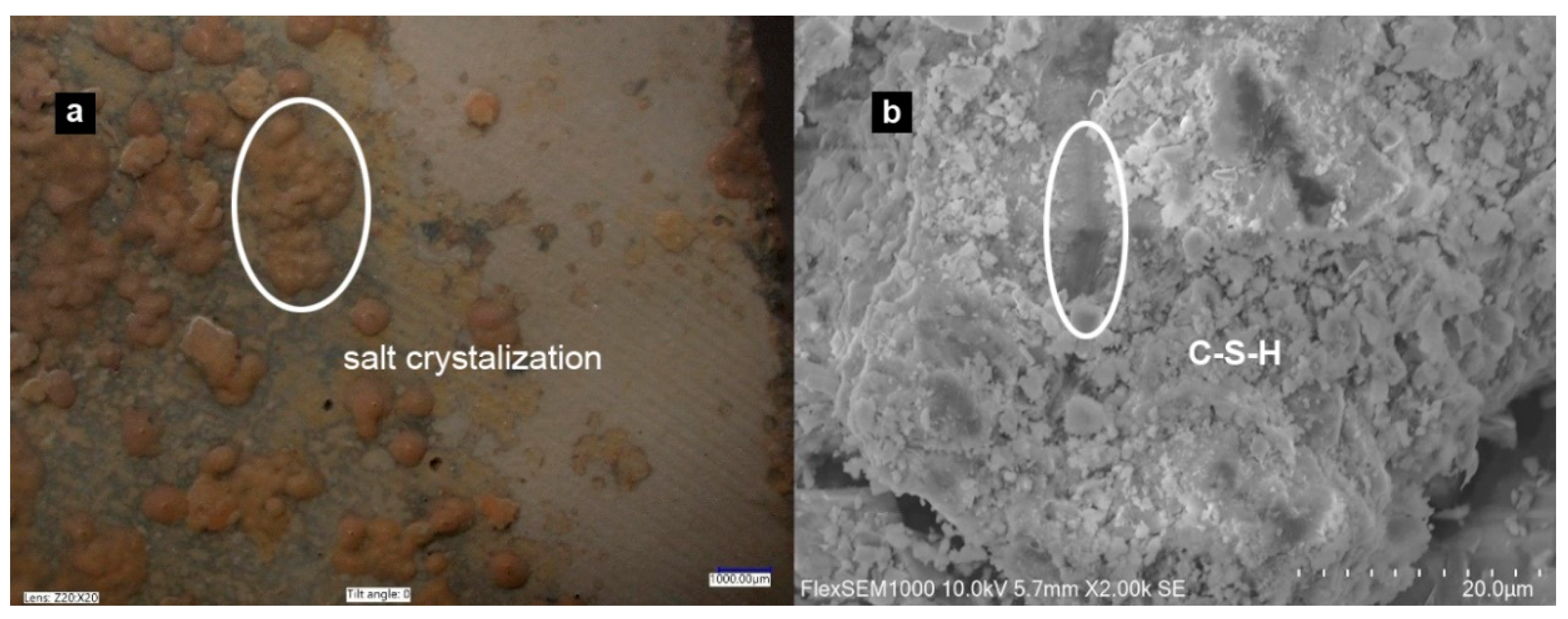Minerals 11 00544 g008