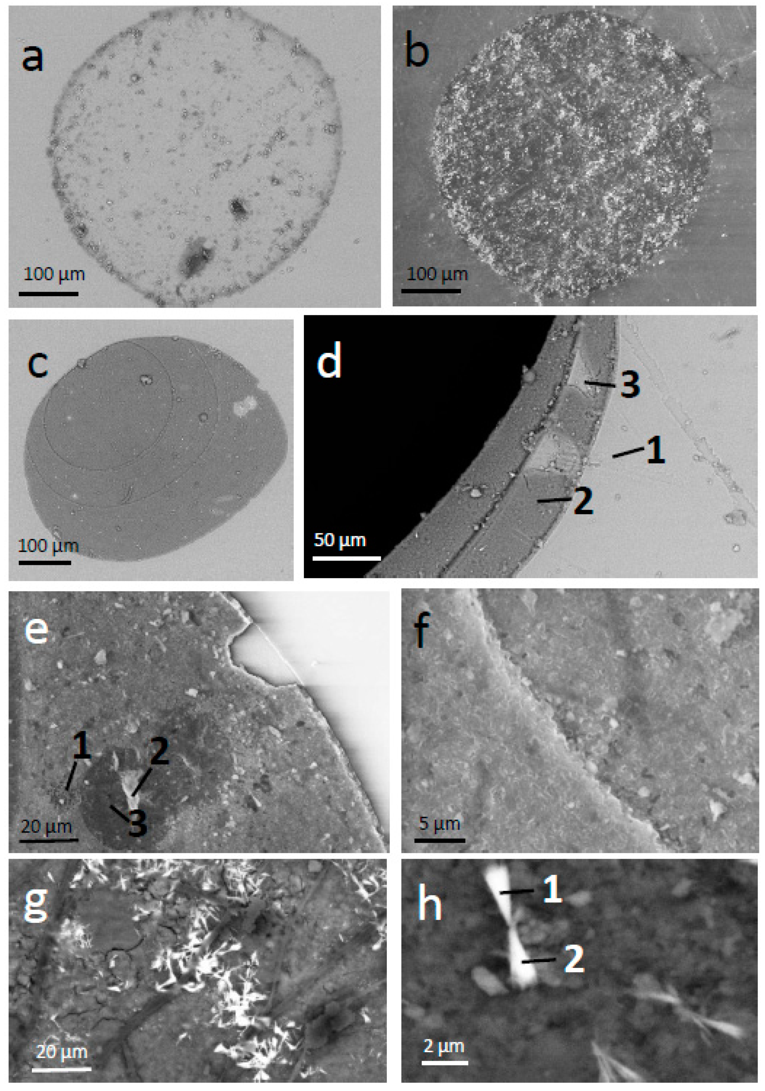 Minerals 11 00547 g002