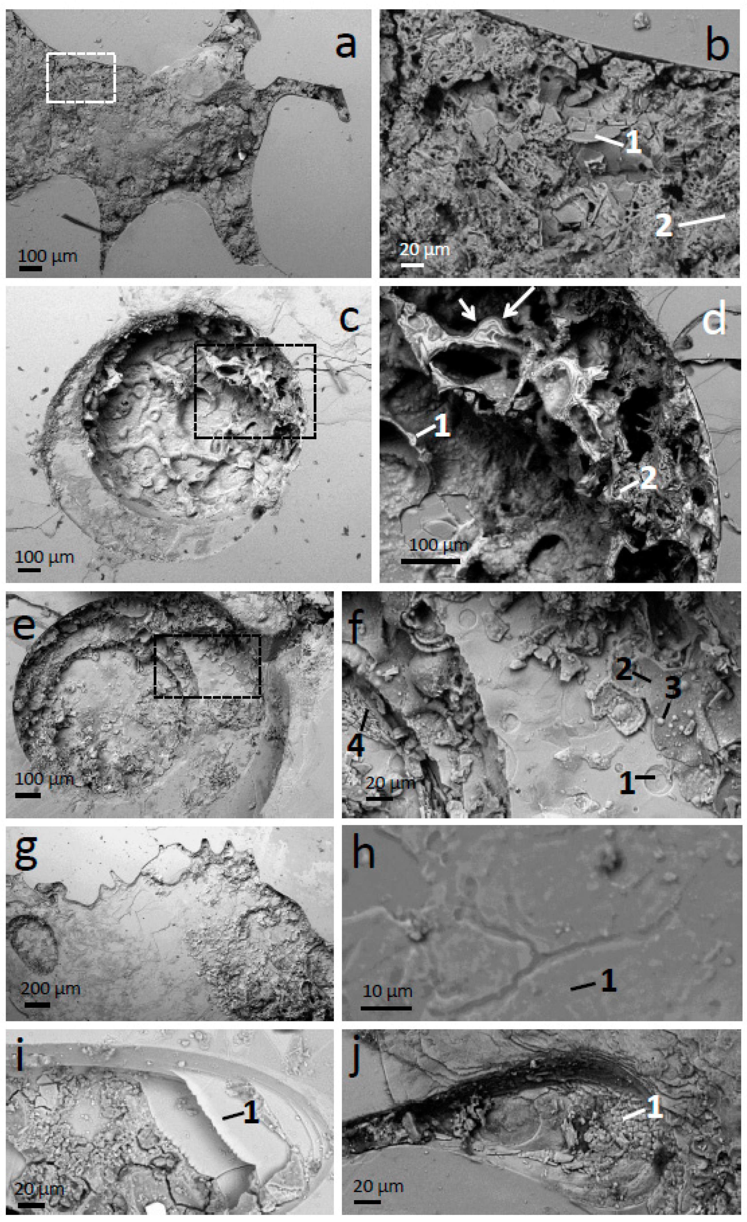 Minerals 11 00547 g004