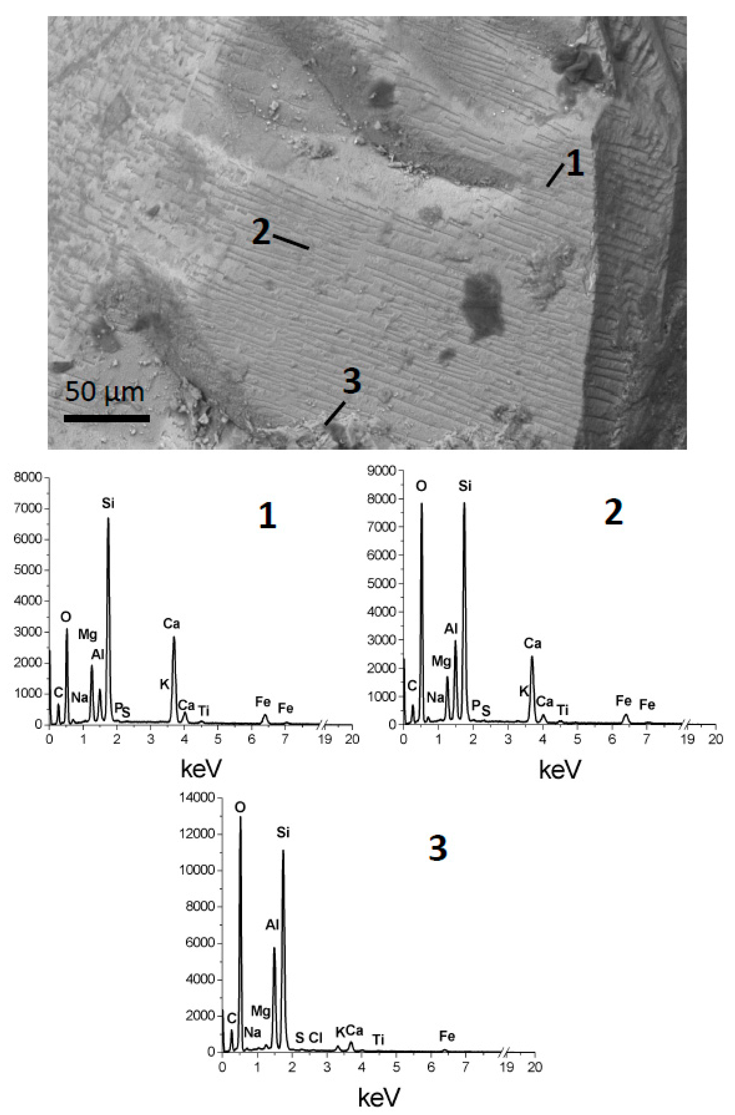 Minerals 11 00547 g008
