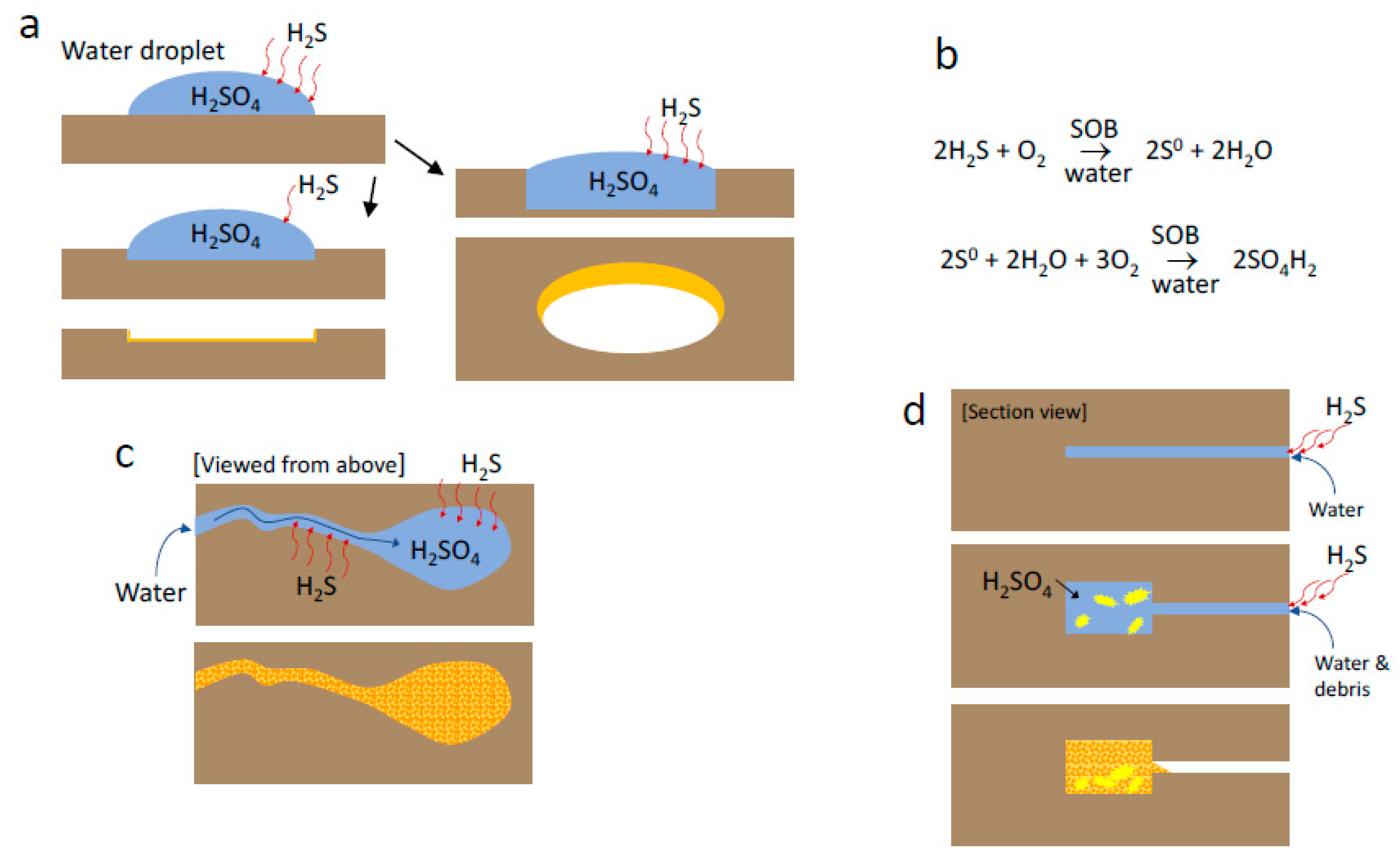 Minerals 11 00547 g012