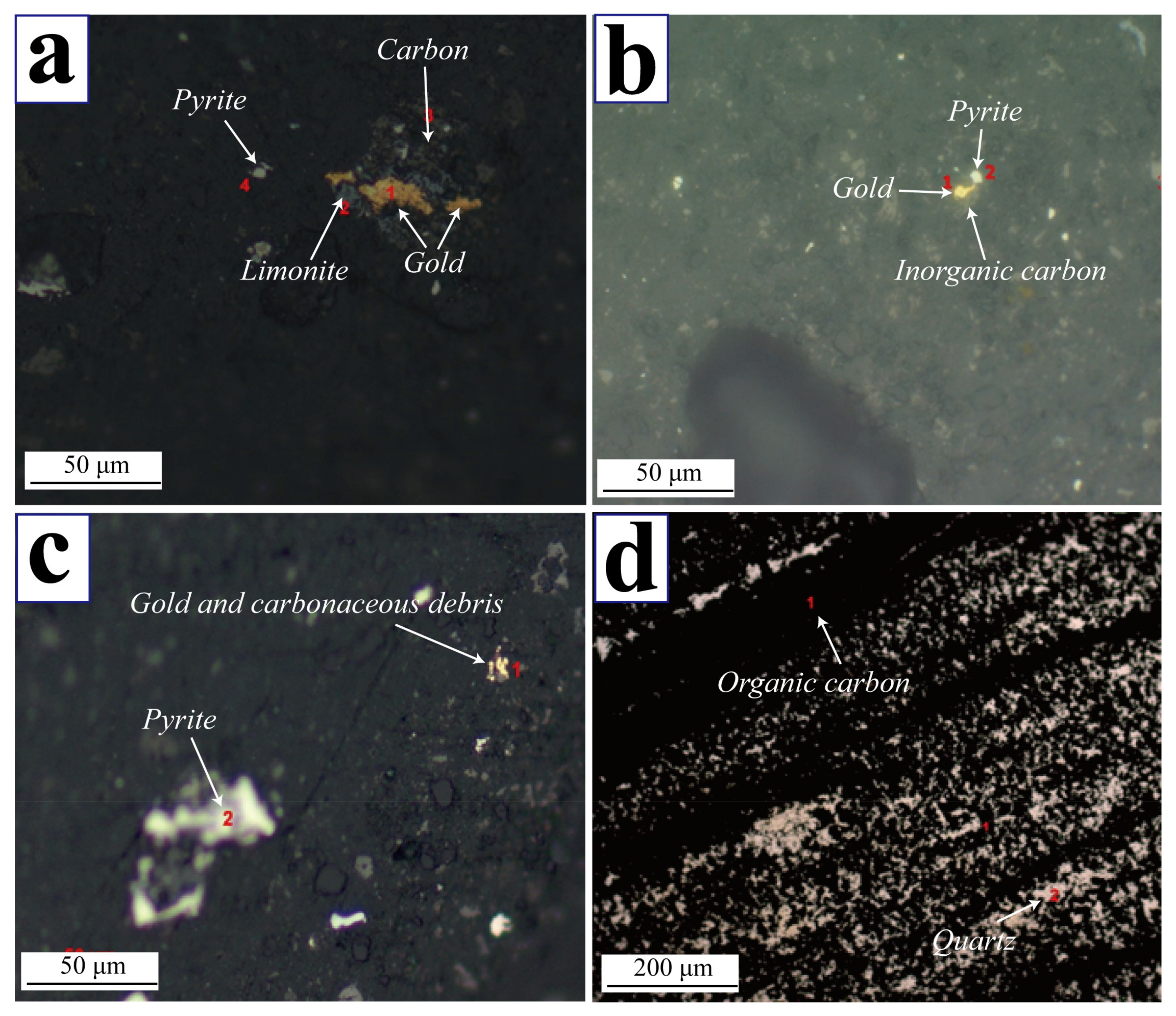 Minerals 11 00558 g001