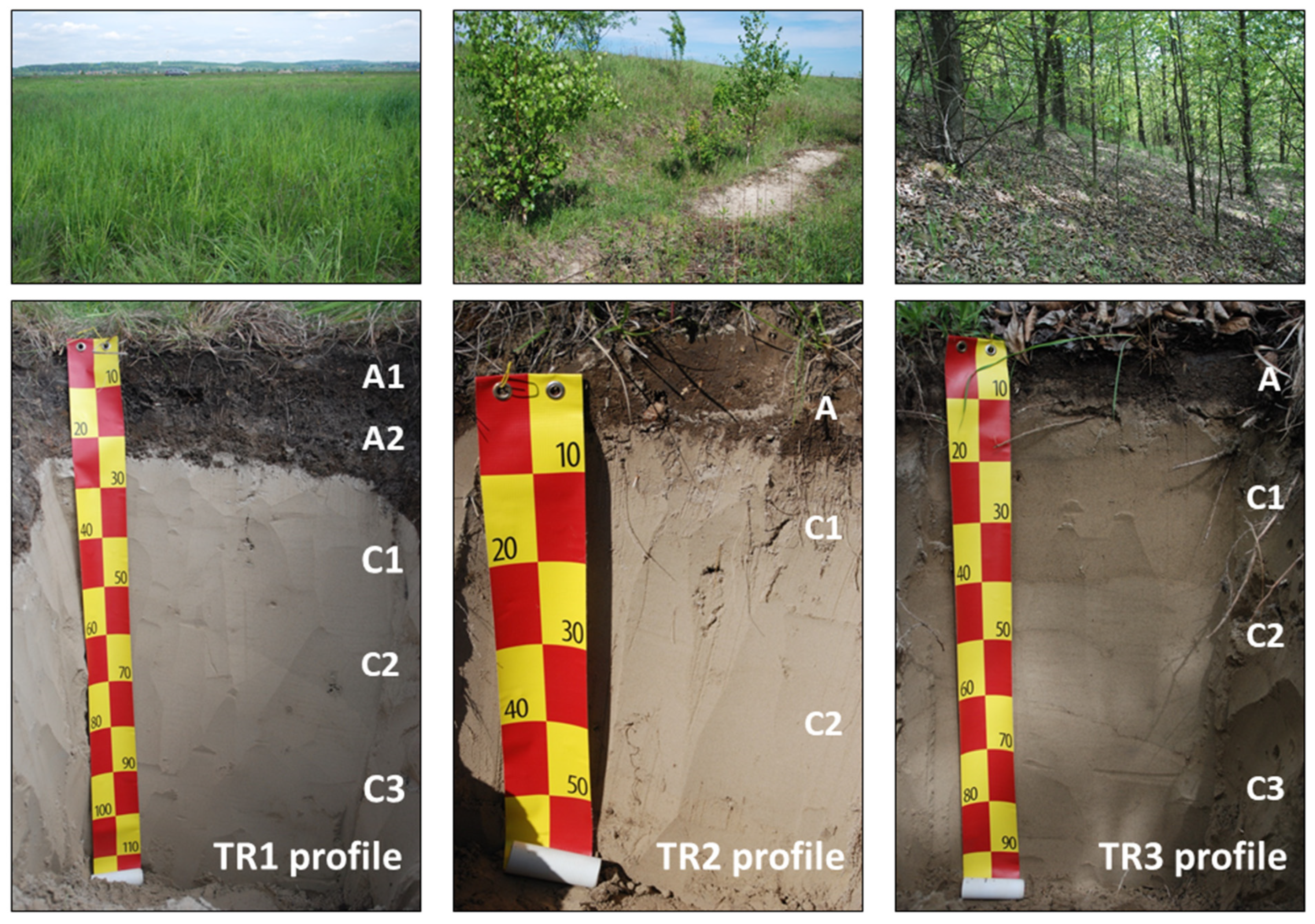 Minerals 11 00559 g002 Minerals 11 00559 g002