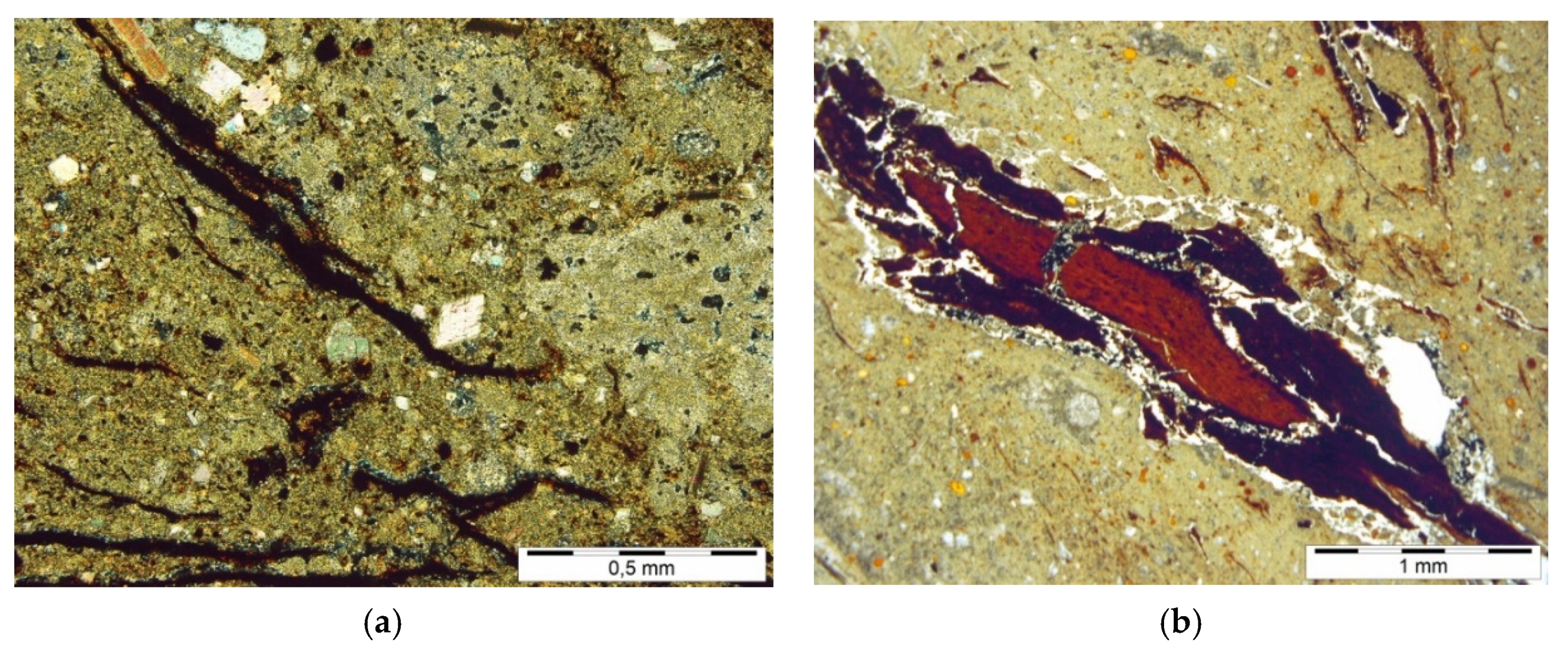 Minerals 11 00572 g004 550