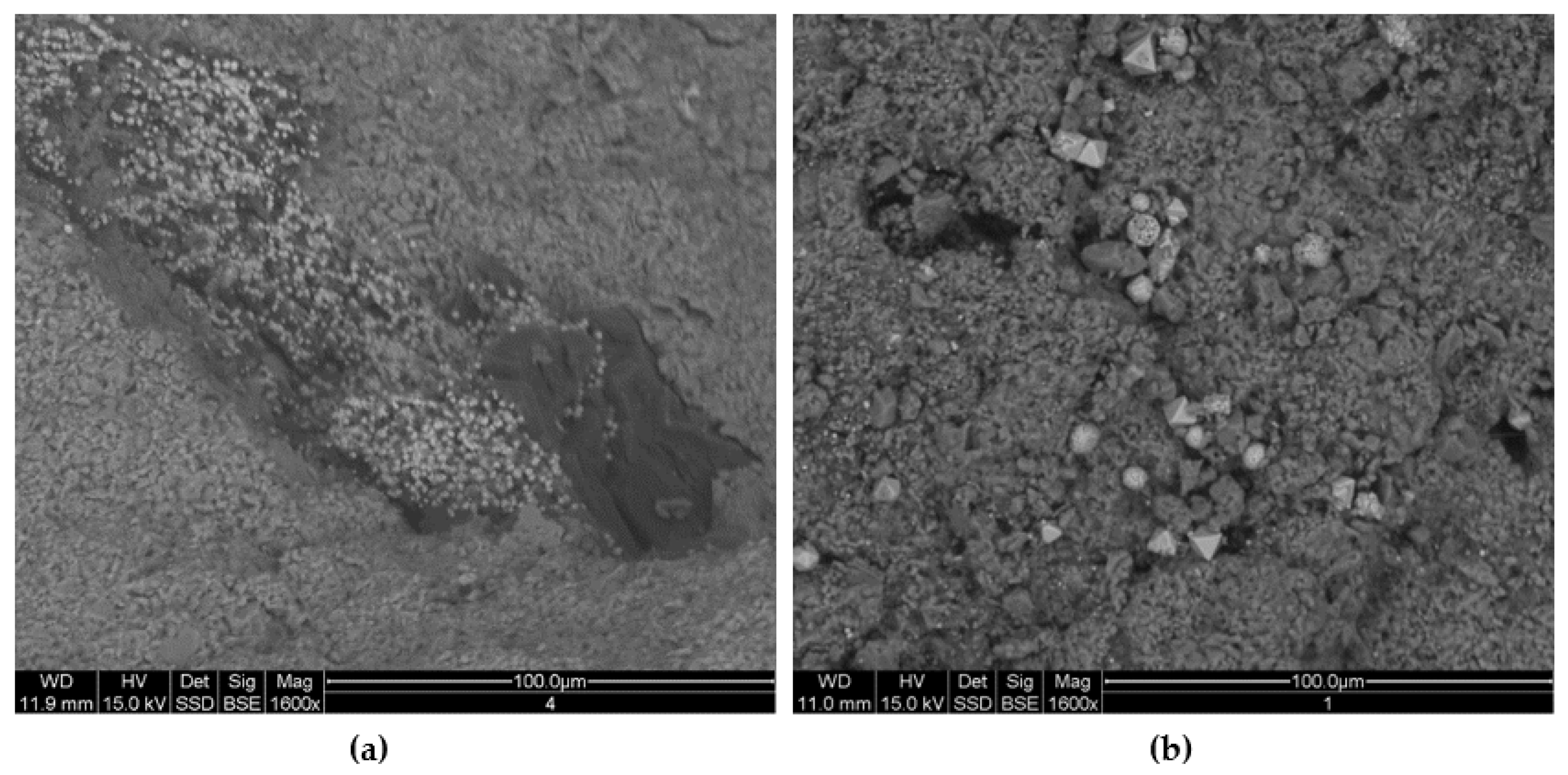 Minerals 11 00572 g005 550