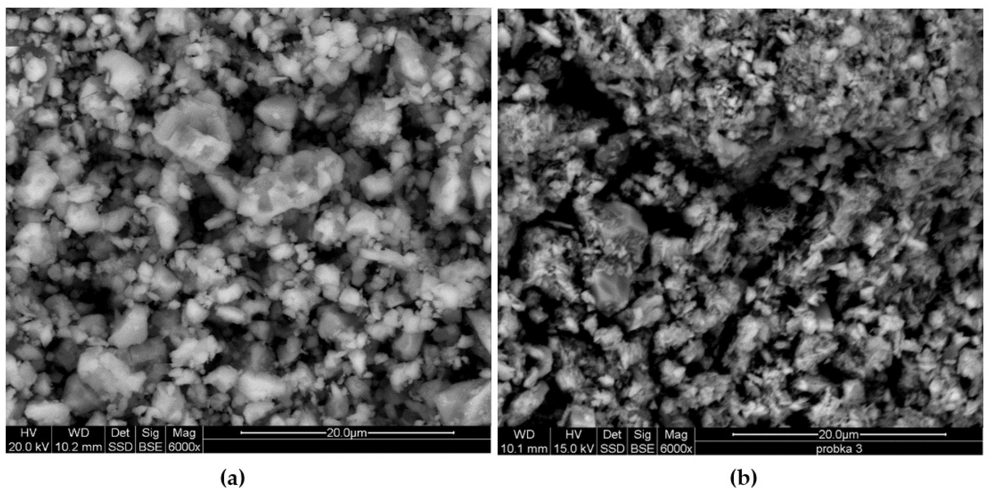 Minerals 11 00572 g007 550