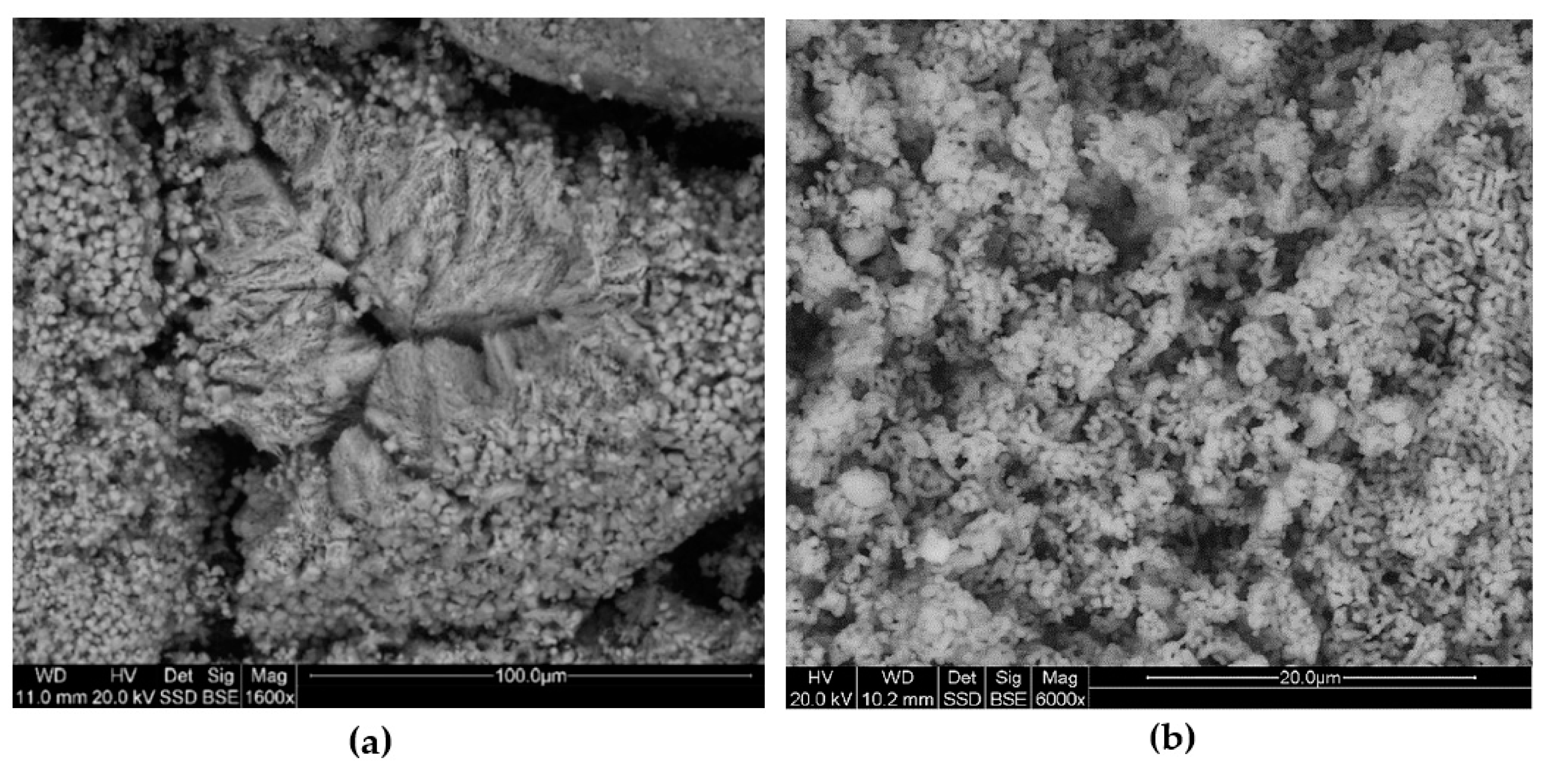 Minerals 11 00572 g010 550