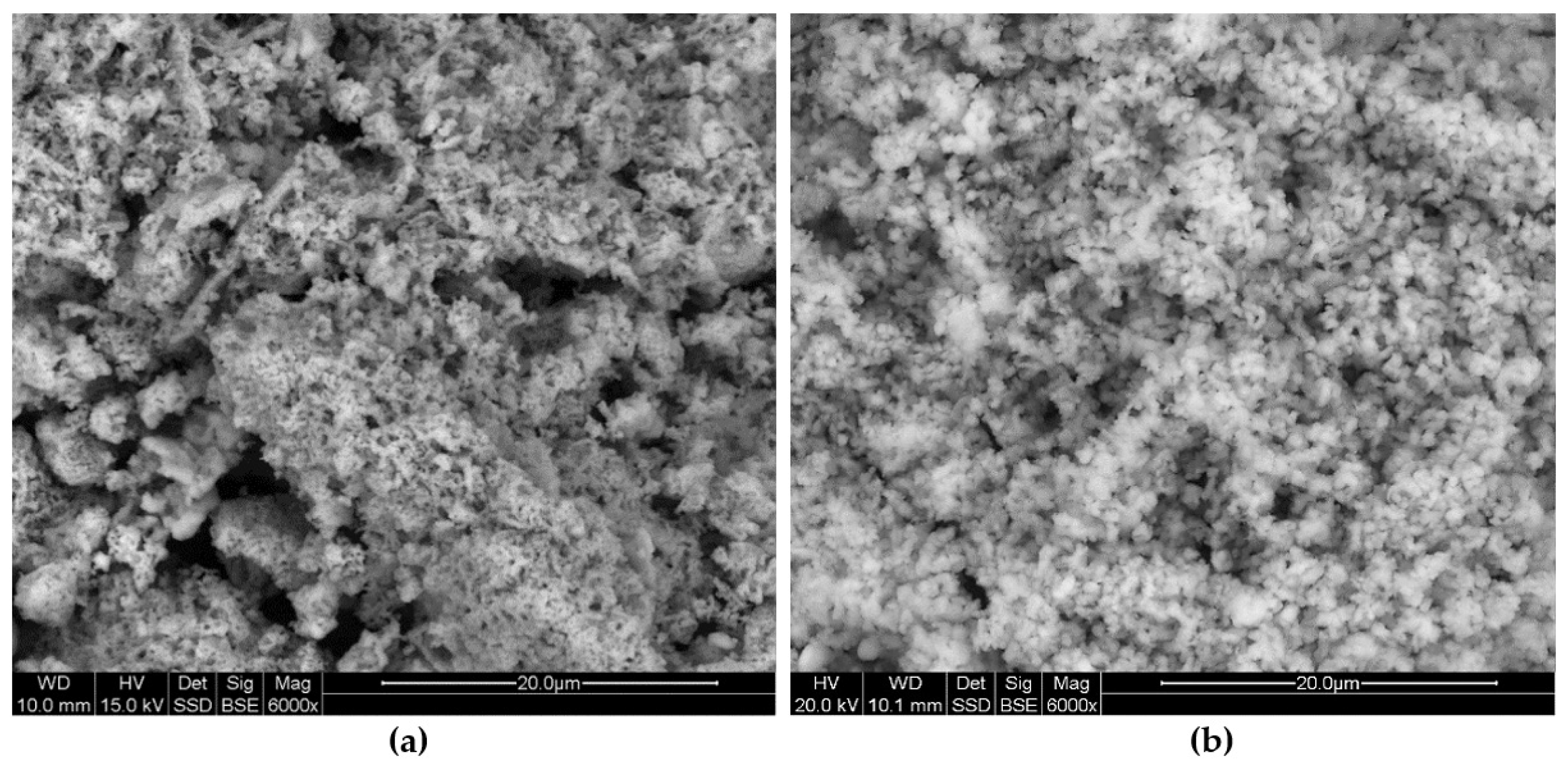 Minerals 11 00572 g011 550