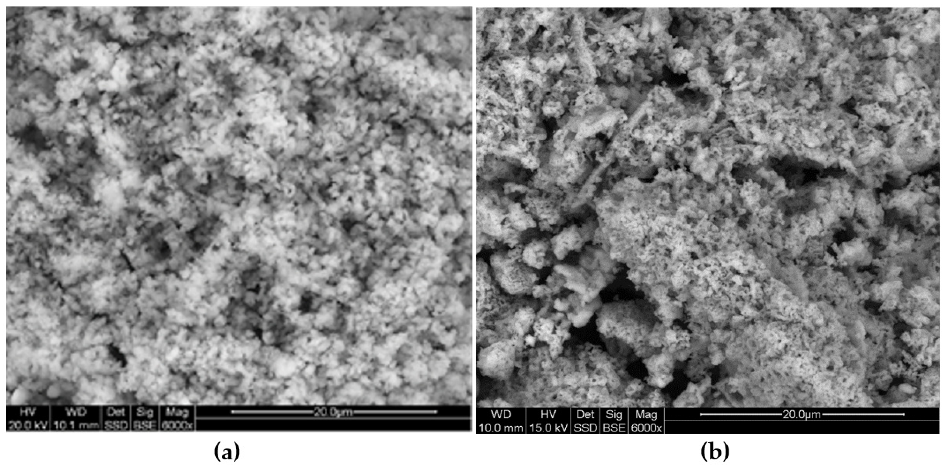 Minerals 11 00572 g012 550