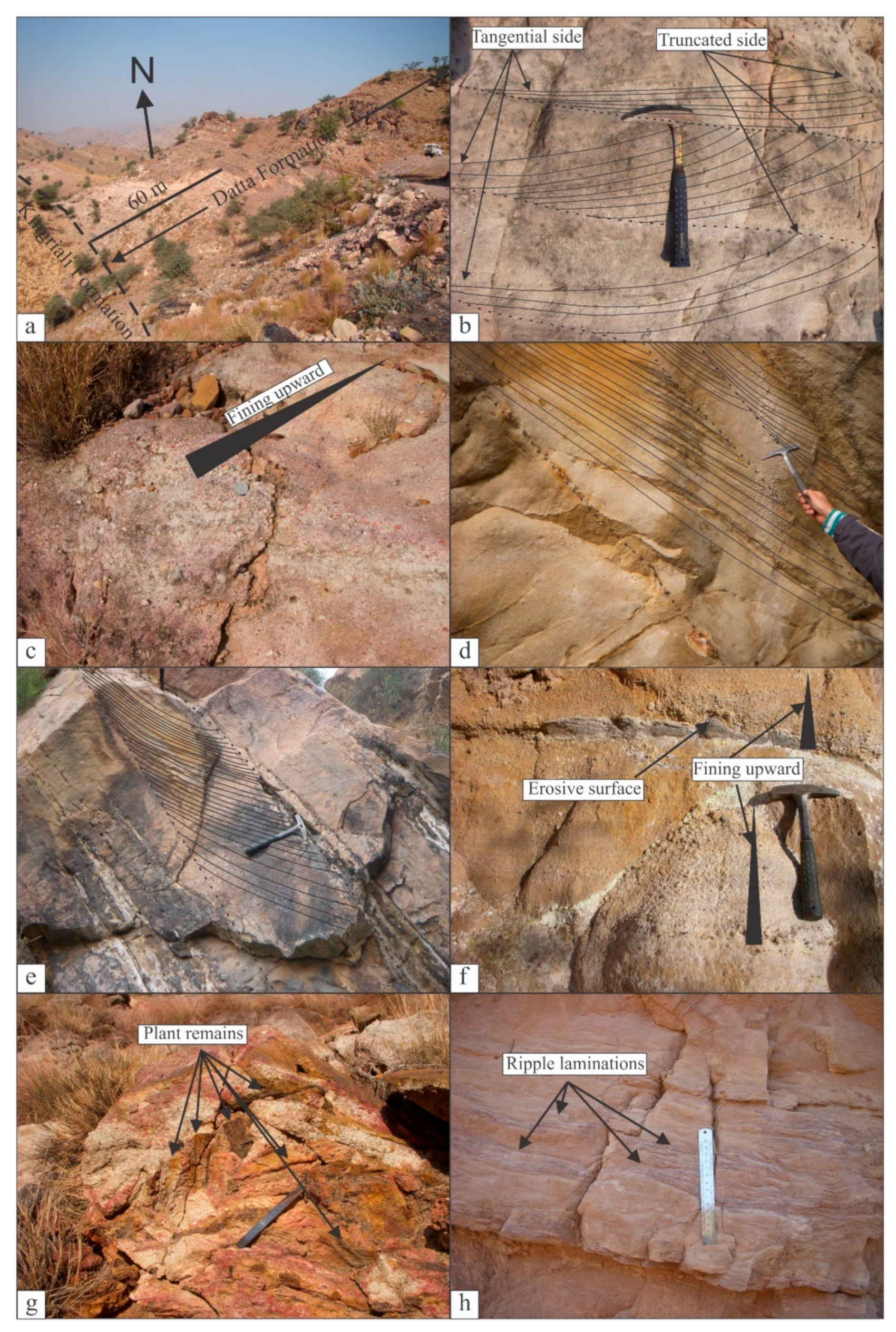 Minerals 11 00573 g004